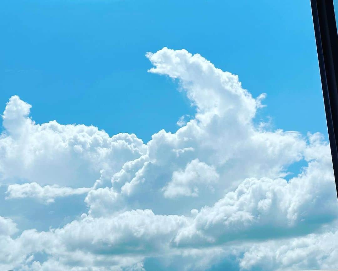 長野智子のインスタグラム：「リハビリ終わって休んでいたら、窓から見えた雲☁️  これって龍雲？というよりゴジラぽくもある。。🦕  #吉兆 か #ノーモア骨折」