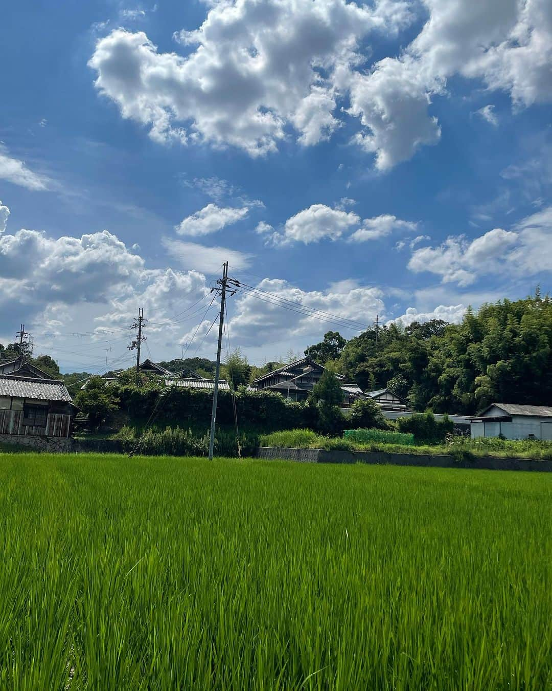 小川薫のインスタグラム