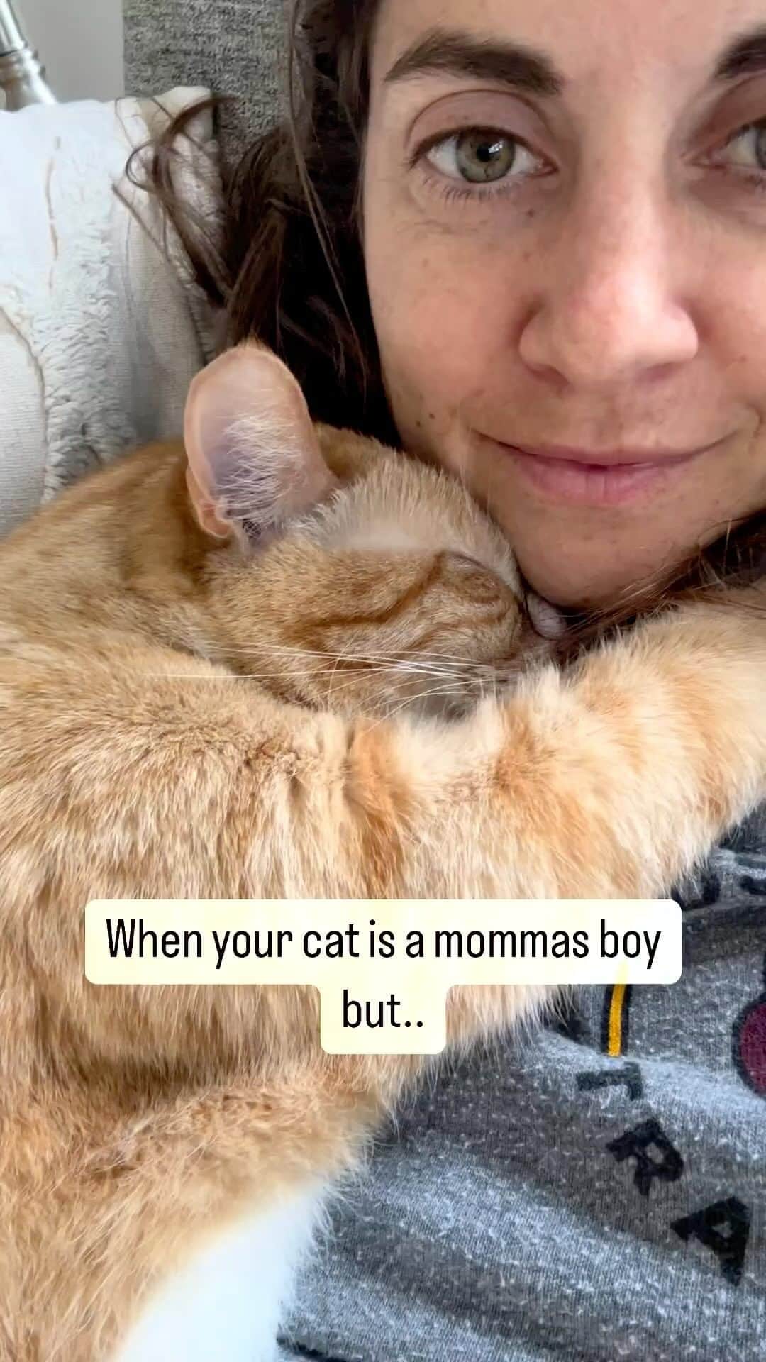 Cats of Instagramのインスタグラム：「From @pesto.theorangetabby: “Sounds like catmom and catdad are winning???” #catsofinstagram」