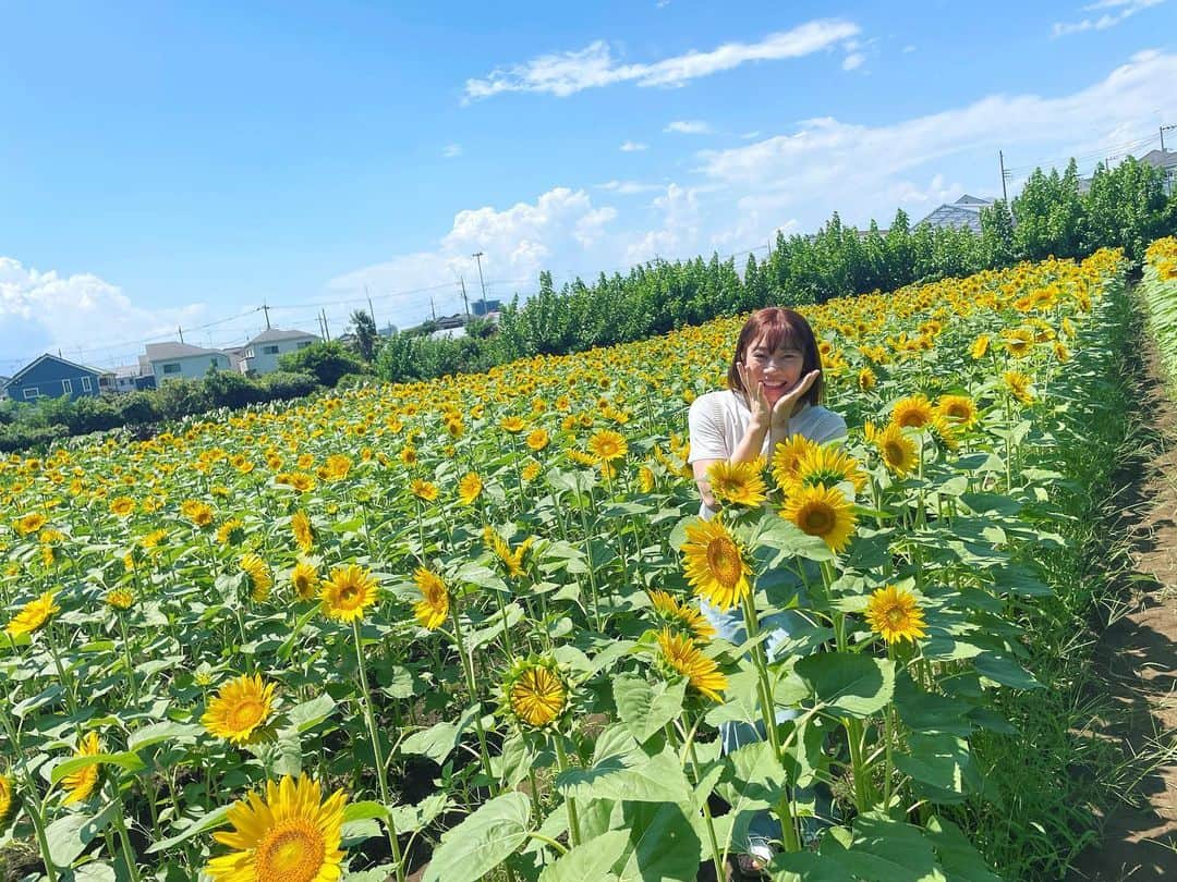 内山由綺さんのインスタグラム写真 - (内山由綺Instagram)「家から5分の場所に向日葵畑がありまして満開でしたので母と🌻 暑い日が続いていますので熱中症には注意して今日も頑張っていきましょう👍🏻」8月6日 8時36分 - yuki_gym_smile