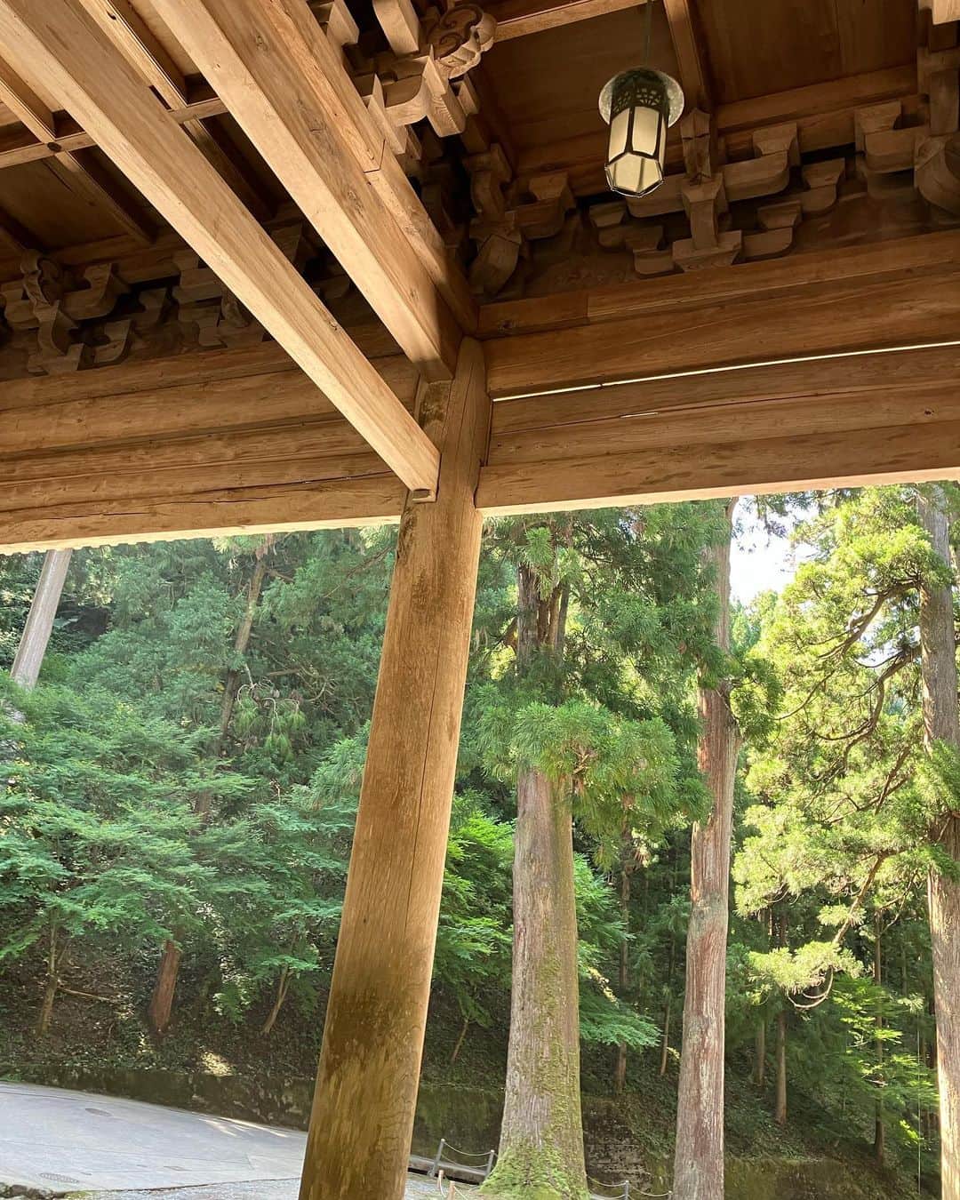 吉見佑子さんのインスタグラム写真 - (吉見佑子Instagram)「開君やかずみん、東市さんたちと、永平寺に。大きな風が吹いてる」8月6日 9時49分 - yuko_yoshimi
