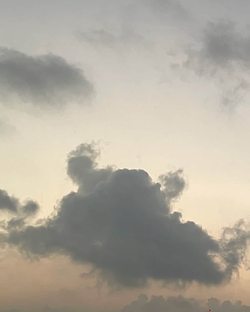 皆川明のインスタグラム：「マンタのような雲 空想って空を想うと書くんだなぁ。 雲の姿を何かに見立てるのが子供の頃から好きだった。」