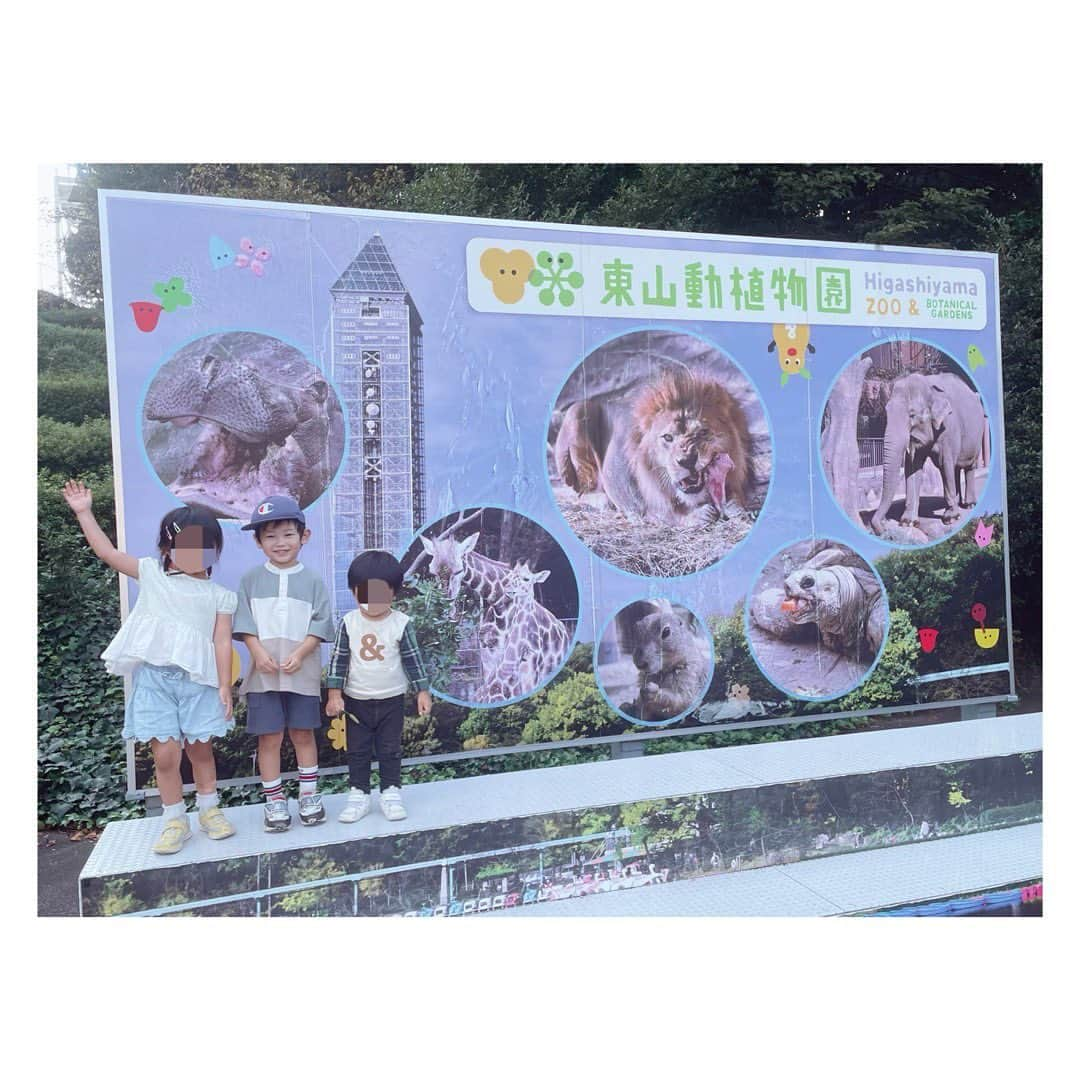 小河結香さんのインスタグラム写真 - (小河結香Instagram)「ZOO🐘☀️ (2022/10/2)  数少ないママ友と東山動物園✨ もはや何回行ったか分からないくらいなので 以下省略✋  一万歩以上歩いた子供達に拍手👏 立派に育ちましたね👼 私にできる事はもうほぼありません😜  #東山動物園 #親子動物園 #ピクニック #休日の過ごし方 #お出掛けスポット #ゆんと天使の日常記録」8月6日 11時34分 - yun2world