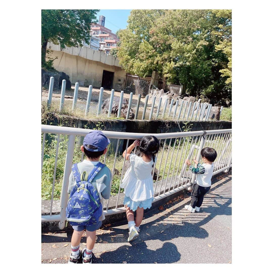 小河結香さんのインスタグラム写真 - (小河結香Instagram)「ZOO🐘☀️ (2022/10/2)  数少ないママ友と東山動物園✨ もはや何回行ったか分からないくらいなので 以下省略✋  一万歩以上歩いた子供達に拍手👏 立派に育ちましたね👼 私にできる事はもうほぼありません😜  #東山動物園 #親子動物園 #ピクニック #休日の過ごし方 #お出掛けスポット #ゆんと天使の日常記録」8月6日 11時34分 - yun2world