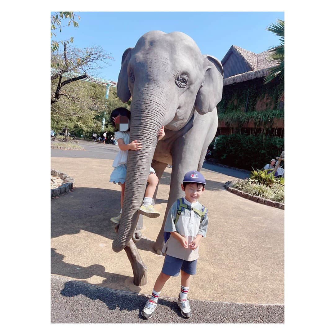 小河結香さんのインスタグラム写真 - (小河結香Instagram)「ZOO🐘☀️ (2022/10/2)  数少ないママ友と東山動物園✨ もはや何回行ったか分からないくらいなので 以下省略✋  一万歩以上歩いた子供達に拍手👏 立派に育ちましたね👼 私にできる事はもうほぼありません😜  #東山動物園 #親子動物園 #ピクニック #休日の過ごし方 #お出掛けスポット #ゆんと天使の日常記録」8月6日 11時34分 - yun2world