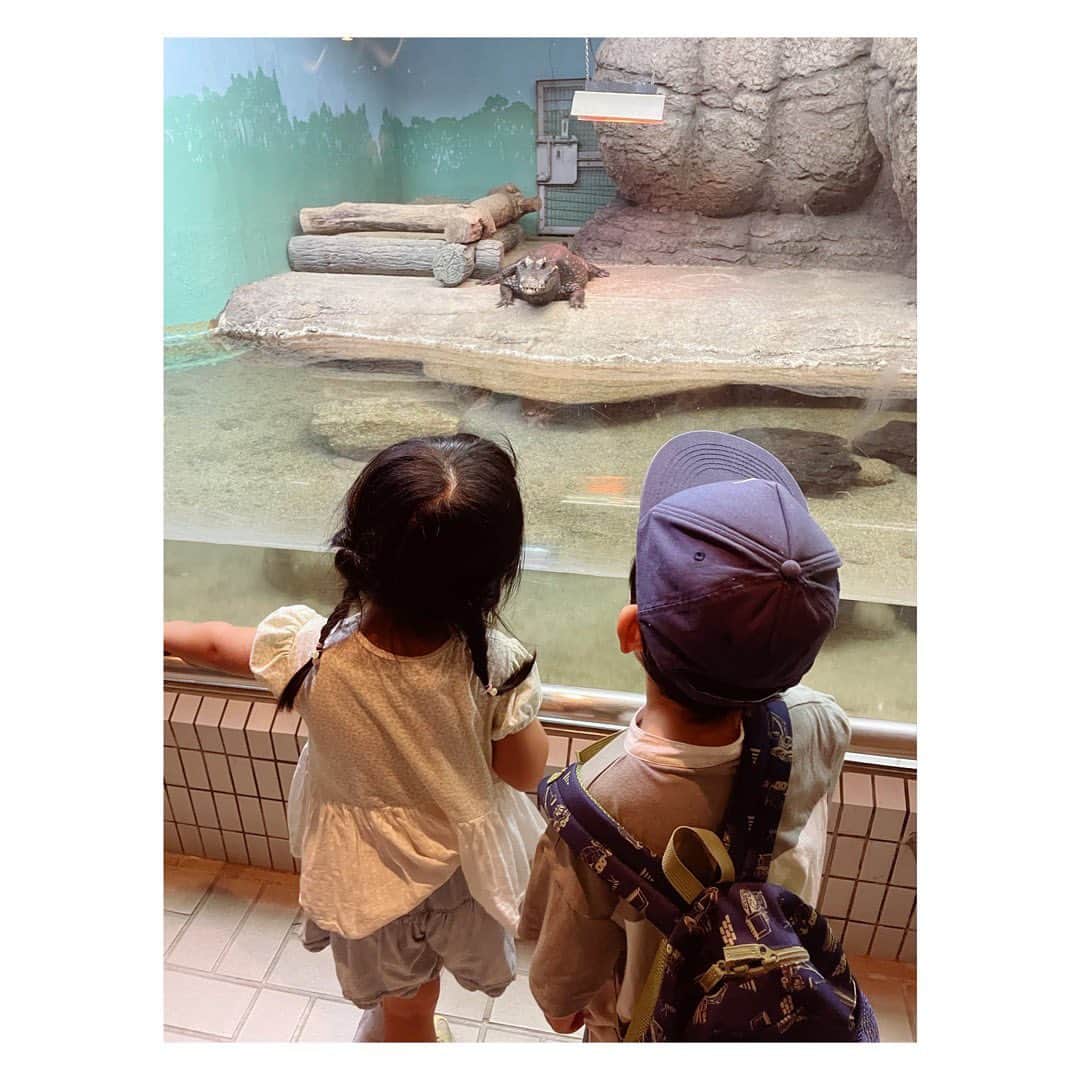 小河結香さんのインスタグラム写真 - (小河結香Instagram)「ZOO🐘☀️ (2022/10/2)  数少ないママ友と東山動物園✨ もはや何回行ったか分からないくらいなので 以下省略✋  一万歩以上歩いた子供達に拍手👏 立派に育ちましたね👼 私にできる事はもうほぼありません😜  #東山動物園 #親子動物園 #ピクニック #休日の過ごし方 #お出掛けスポット #ゆんと天使の日常記録」8月6日 11時34分 - yun2world