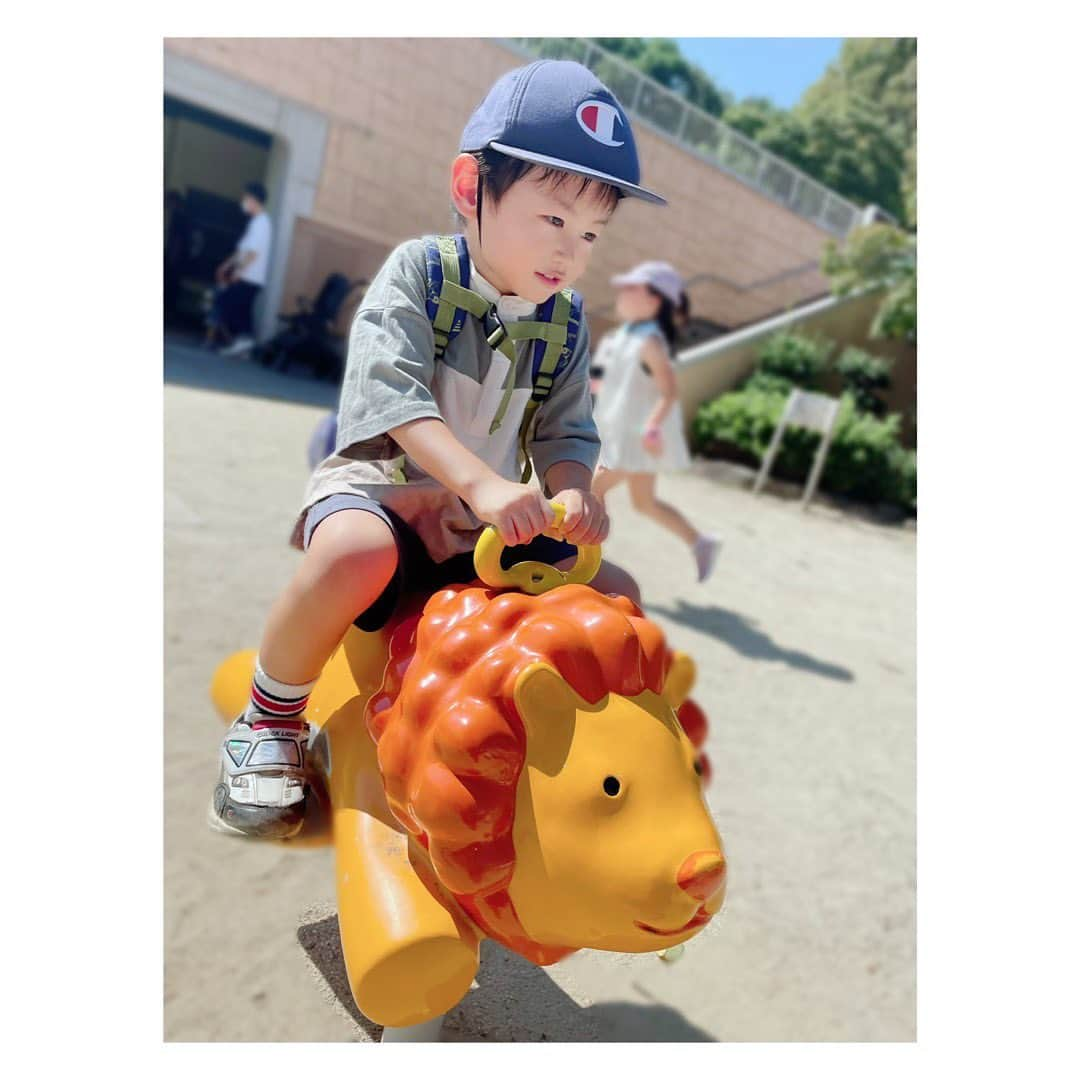 小河結香さんのインスタグラム写真 - (小河結香Instagram)「ZOO🐘☀️ (2022/10/2)  数少ないママ友と東山動物園✨ もはや何回行ったか分からないくらいなので 以下省略✋  一万歩以上歩いた子供達に拍手👏 立派に育ちましたね👼 私にできる事はもうほぼありません😜  #東山動物園 #親子動物園 #ピクニック #休日の過ごし方 #お出掛けスポット #ゆんと天使の日常記録」8月6日 11時34分 - yun2world