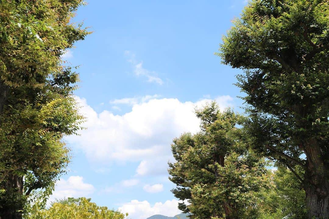 前野えまさんのインスタグラム写真 - (前野えまInstagram)「この間行ってきた京都。 車折神社は今回3回目の御礼参り。 ・ ・ #京都  #車折神社  #芸能神社  #御礼参り   #kyoto  #kurumazakishrine」8月6日 11時39分 - maeno_ema