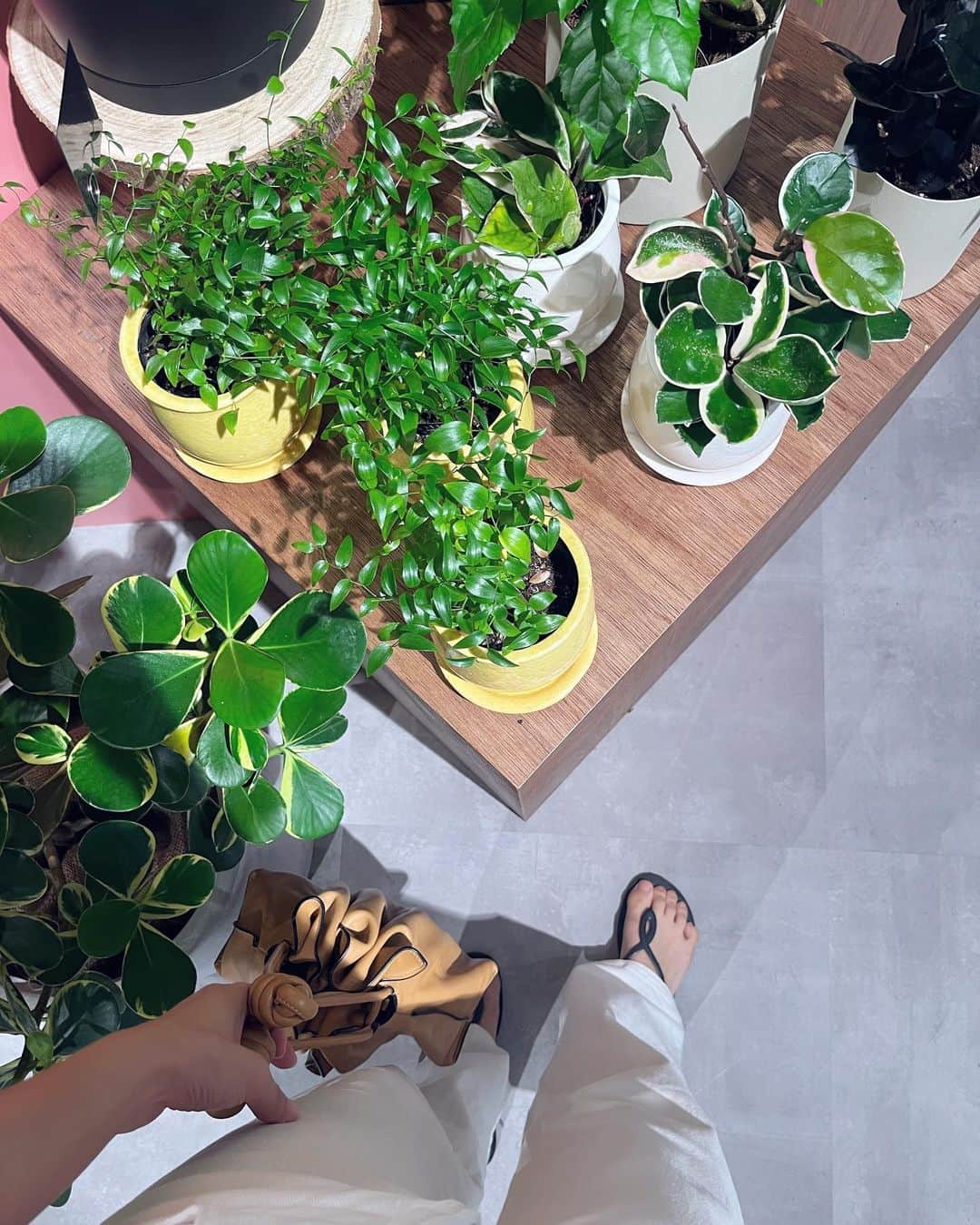 のインスタグラム：「Looking for some green 🌿」
