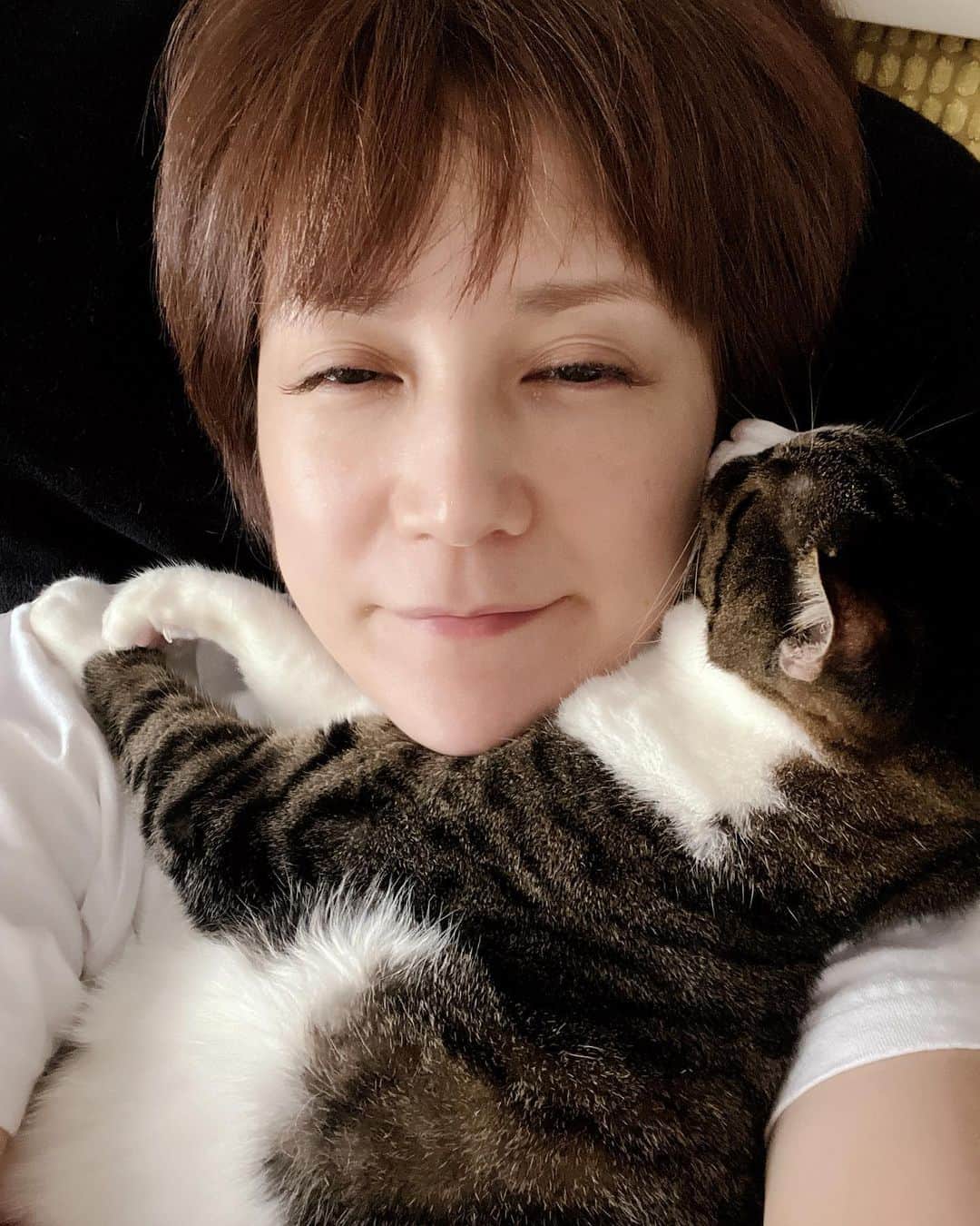 鈴木蘭々のインスタグラム：「あつい〜💦  でもむぎゅっ💨❤️  かつて首周りはマロちゃんの定位置だったので風太くんの位置はお腹周りだったんですけど…。  マロちゃんが居なくなってからは首周りを独り占め  重さもずっしり😅そして夏はあつい…  でも乗っかられると同時に小さくて軽かった後年のマロちゃんの事も思い出します…😢  旅立って1ヶ月が過ぎました…。  早いね…。。  #風太くん #マロちゃん #最後の写真はえもん」
