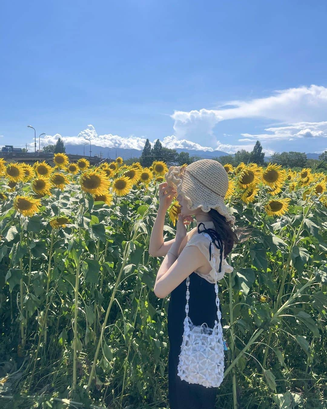 さばこさんのインスタグラム写真 - (さばこInstagram)「🌻☁️ 念願のひまわり畑🕊️ そんなに混んではいなかったけどとにかく暑かった！ そして強風だった🤧 一面ひまわりが咲いてて本当に綺麗だった〜  #座間 #座間ひまわり畑 #ひまわり畑 #ひまわり #向日葵畑 #お花畑 #ドライブデート #夏コーデ #麦わら帽子 #해바라기 #sunflowers」8月6日 13時10分 - 385chann