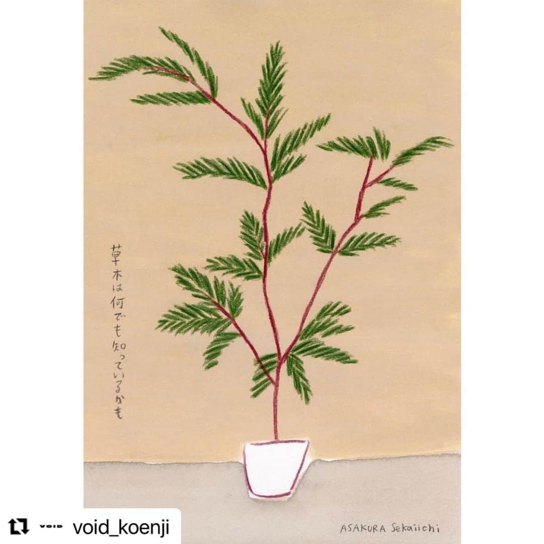 朝倉世界一のインスタグラム：「本日も開催中です🪴  Repost  @void_koenji  ・・・ 朝倉世界一＆DAISAK 二人展 『新しいリビングへの提案 〜for living new life』  8/5(日)オープンしました。本日は20時まで営業いたします。  朝倉さんの描いた観葉植物はとても涼しげです。作品はオンラインからも購入可。トップページのリンクよりお進みください。  @askura1 @daisak_xxl   #朝倉世界一 #DAISAK #japaneseillustration #陶器 #陶芸 #ceramics #漫画 #manga #高円寺VOID」