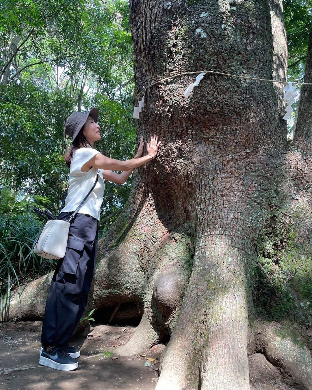 かとうれいこさんのインスタグラム写真 - (かとうれいこInstagram)「参拝  楽しい旅が出来ましたことに感謝🙏 また来れますようにと。  御神木のクスノキ🌲 力強くて優しい気が溢れてる。  心身ともにリフレッシュ。  次回はご朱印帳を持参しよう。  #宮崎 #パワースポット  #江田神社 #一葉稲荷神社　  #れいこ旅 #2023.夏 #感謝  #宮崎旅 #時差投稿」8月6日 13時43分 - katoreiko_official