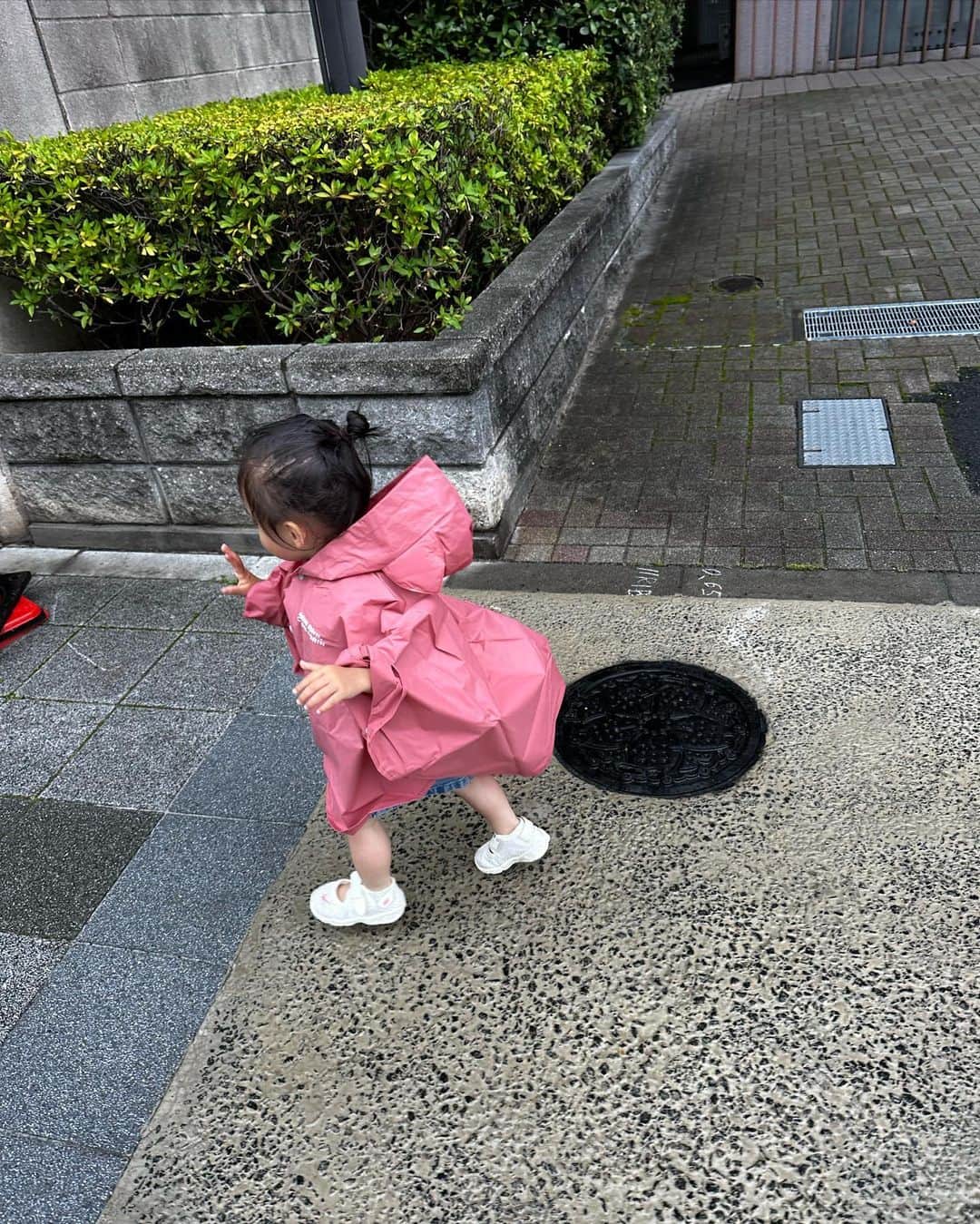 ARISA（和田有沙）さんのインスタグラム写真 - (ARISA（和田有沙）Instagram)「小雨の日☂️ かっぱきてお散歩🩷🧡 かっぱが嬉しくてお部屋の中でもきてました🐰ㅤㅤㅤㅤㅤㅤㅤㅤㅤㅤㅤㅤㅤㅤㅤㅤㅤㅤㅤㅤㅤㅤㅤㅤㅤㅤ ㅤㅤㅤㅤㅤㅤㅤㅤㅤㅤㅤㅤㅤ 🍂が大好きでひたすら拾って渡しての繰り返し👧🏻 ㅤㅤㅤㅤㅤㅤㅤㅤㅤㅤㅤㅤㅤ #１歳１１ヶ月#女の子#年子#年子姉妹#姉妹#年子ママ」8月6日 13時51分 - wadaarisa