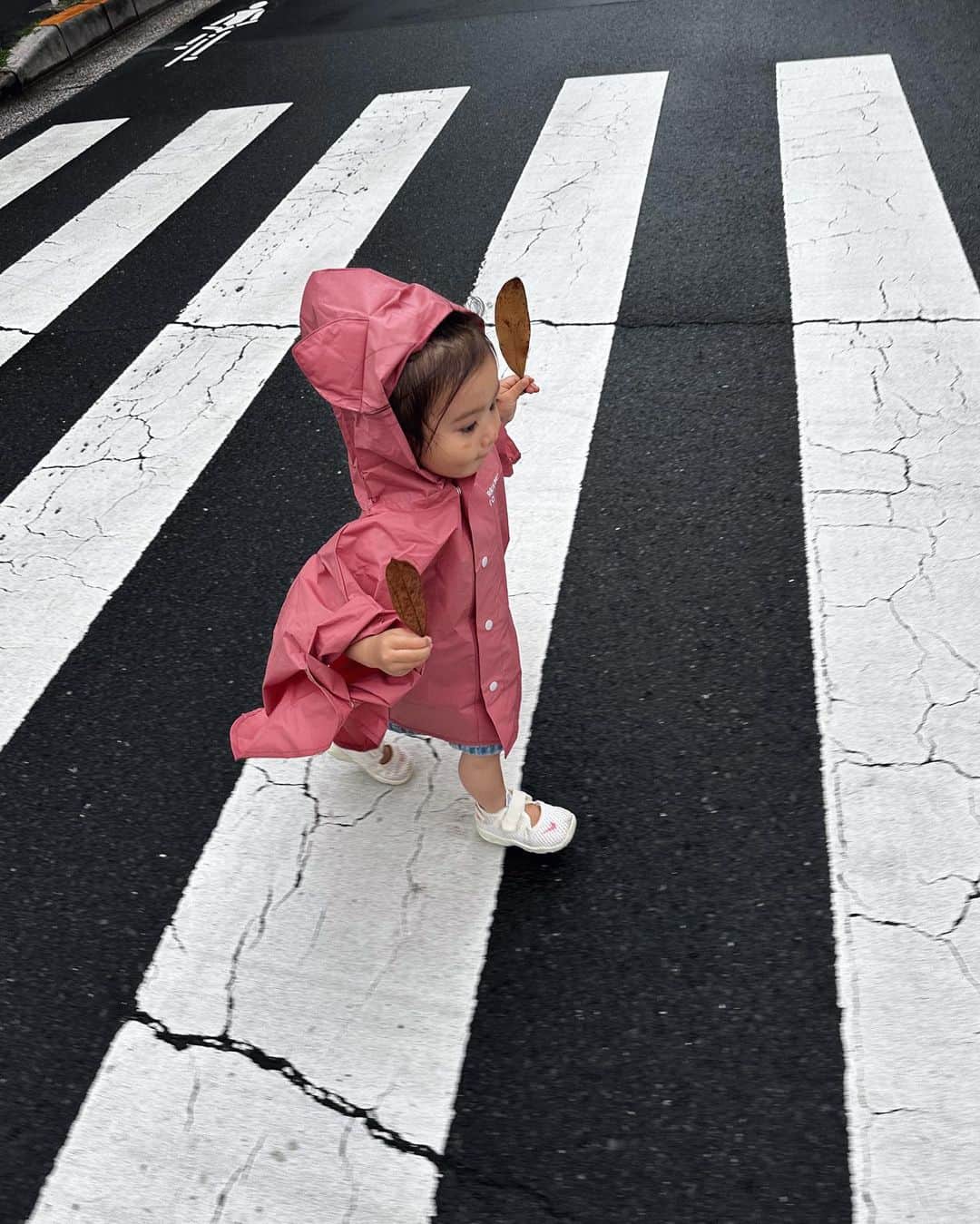 ARISA（和田有沙）のインスタグラム：「小雨の日☂️ かっぱきてお散歩🩷🧡 かっぱが嬉しくてお部屋の中でもきてました🐰ㅤㅤㅤㅤㅤㅤㅤㅤㅤㅤㅤㅤㅤㅤㅤㅤㅤㅤㅤㅤㅤㅤㅤㅤㅤㅤ ㅤㅤㅤㅤㅤㅤㅤㅤㅤㅤㅤㅤㅤ 🍂が大好きでひたすら拾って渡しての繰り返し👧🏻 ㅤㅤㅤㅤㅤㅤㅤㅤㅤㅤㅤㅤㅤ #１歳１１ヶ月#女の子#年子#年子姉妹#姉妹#年子ママ」