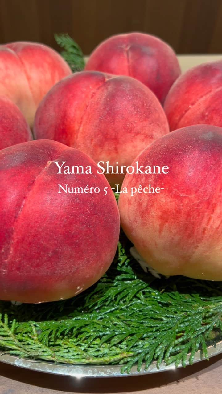 FukamizuYukina のインスタグラム：「_ 今年もだーいすきな @yama.shirokane さんの 桃の季節に行けてほんっとに幸せ🩷 ㅤㅤㅤㅤㅤㅤㅤㅤㅤㅤㅤㅤㅤ ㅤㅤㅤㅤㅤㅤㅤㅤㅤㅤㅤㅤㅤ ラベンダーのアイス🪻と桃のソース🍑が衝撃🫨🩷 香りがすんごいのよ、、ラベンダー畑よりラベンダー🪻 それに合うお茶も香りが素敵すぎてずっと最高だった🫶🏻 ㅤㅤㅤㅤㅤㅤㅤㅤㅤㅤㅤㅤㅤ ㅤㅤㅤㅤㅤㅤㅤㅤㅤㅤㅤㅤㅤ 最後に出てきた盛り盛りてんこ盛りの芸術デザートは 千切りされた薔薇とフランボワーズの香りが好きすぎた🌹 見た目も味も香りも全部素敵すぎて頭の中が幸せで いっぱいで情報処理しきれんほど😭🩷 ㅤㅤㅤㅤㅤㅤㅤㅤㅤㅤㅤㅤㅤ ㅤㅤㅤㅤㅤㅤㅤㅤㅤㅤㅤㅤㅤ ここ数ヶ月めちゃくちゃ仕事頑張ってよかった〜！ ってなるほど美味しさと幸せ噛み締めた日でした🍑 ㅤㅤㅤㅤㅤㅤㅤㅤㅤㅤㅤㅤㅤ ㅤㅤㅤㅤㅤㅤㅤㅤㅤㅤㅤㅤㅤ 次回もまた楽しみにお仕事頑張ろう🩷 ㅤㅤㅤㅤㅤㅤㅤㅤㅤㅤㅤㅤㅤ ㅤㅤㅤㅤㅤㅤㅤㅤㅤㅤㅤㅤㅤ #yama #yamashirokane #桃の季節 #喜界島 #白胡麻のアイス #ラベンダーのアイス #薔薇 #薔薇の千切り #桃 #デザート #白金グルメ」