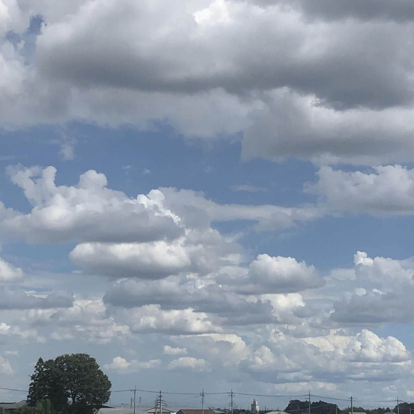 雨月衣さんのインスタグラム写真 - (雨月衣Instagram)「マグリットっぽい雲。  今日は伊勢崎花火大会 仕事で出られないから 家の2階の窓から見よう。」8月6日 14時05分 - ugetsukoromo