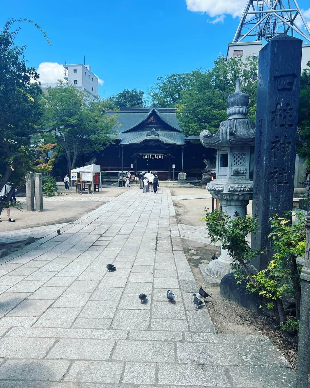西丸優子さんのインスタグラム写真 - (西丸優子Instagram)「今日は松本市美術館へ。 駅前で草間さんの水玉バスにも出会えたっ♪ ラッキー✨  松本に来たので四柱神社にもご挨拶してきました。  #松本市美術館  #草間彌生 #四柱神社」8月6日 23時33分 - yukonishimaru