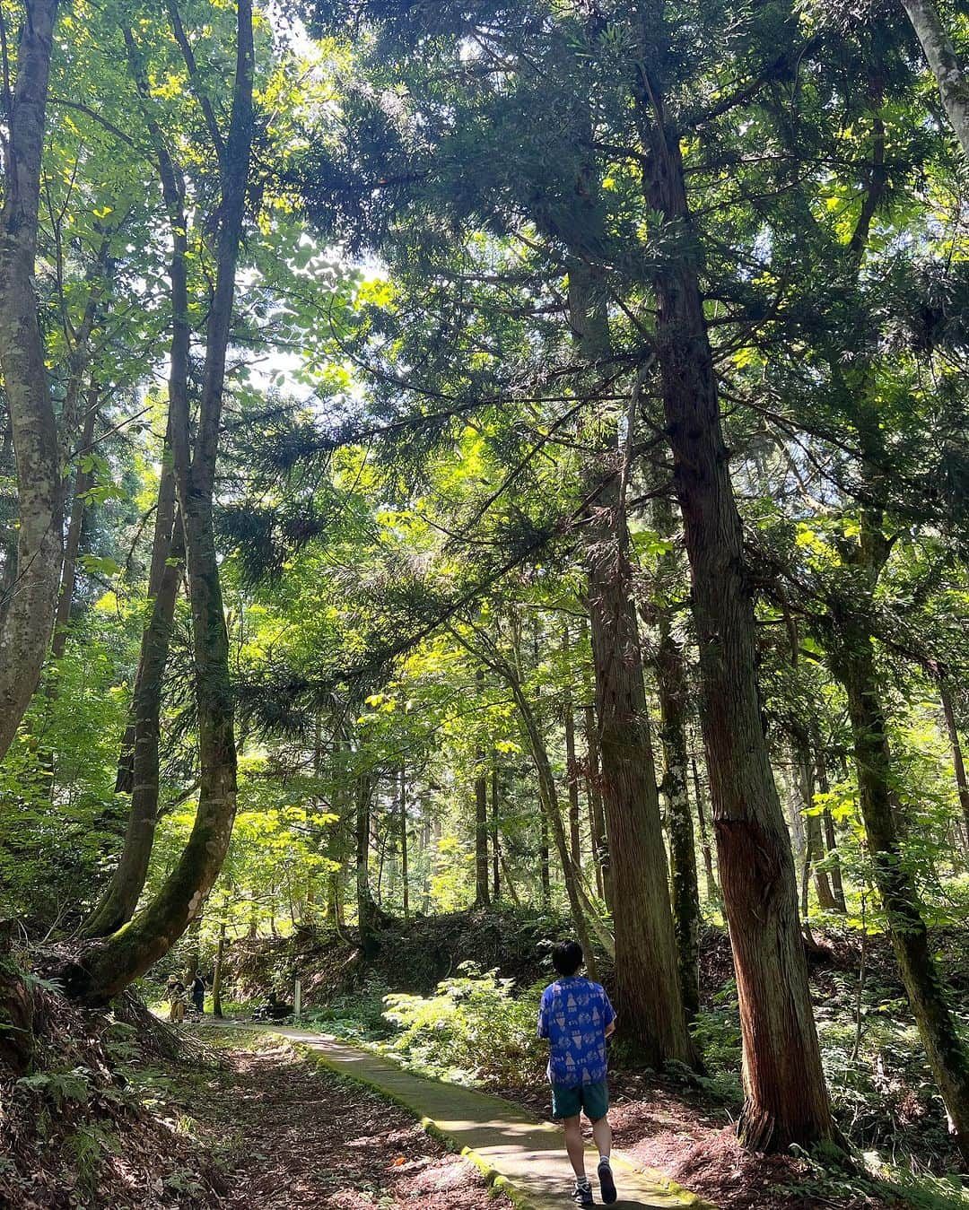 工藤淳之介さんのインスタグラム写真 - (工藤淳之介Instagram)「津南町の竜ヶ窪！ずっと行ってみたかった場所！天気も最高でとっっっても良かったです😊  駐車場から遊歩道を10分ぐらい歩くとたどりつく豊富な湧水によってできた池。毎分30トン、約1.2ヘクタールの沼は1日で全て水が入れ替わるため、決して濁ることなくきれいな状態だそうです。  また、龍神にまつわる伝説がいくつも残る神聖なパワースポットでもあります。全国の名水百選にも選ばれている美味しい湧水を汲みに来ている人も大勢いました。  清らかな気持ちになり元気ももらえた気がします😌✨  #津南町 #竜ヶ窪 #竜ヶ窪の池 #新潟 #新潟観光 #津南町観光 #新潟パワースポット #パワースポット #パワースポット巡り #パワースポット神社 #美味しい水 #名水 #名水百選 #湧水 #龍 #龍の伝説 #ブナ林 #遊歩道 #bsn #アナウンサー #水が好き #工藤淳之介」8月6日 23時35分 - kudojun_nosuke_bsn