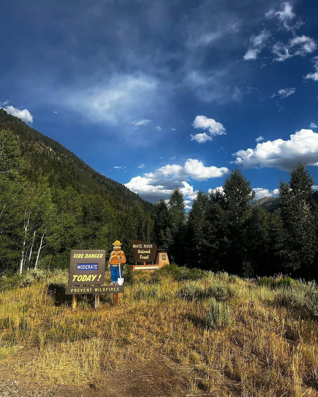 Nick Fouquetさんのインスタグラム写真 - (Nick FouquetInstagram)「Fat City, Aspen🌳  where the bluebirds sing and there’s a whiskey spring」8月7日 0時02分 - nickfouquet