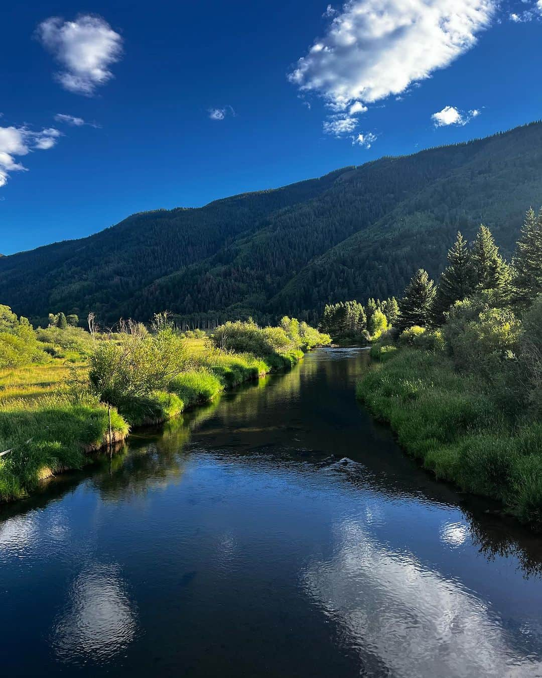 Nick Fouquetさんのインスタグラム写真 - (Nick FouquetInstagram)「Fat City, Aspen🌳  where the bluebirds sing and there’s a whiskey spring」8月7日 0時02分 - nickfouquet