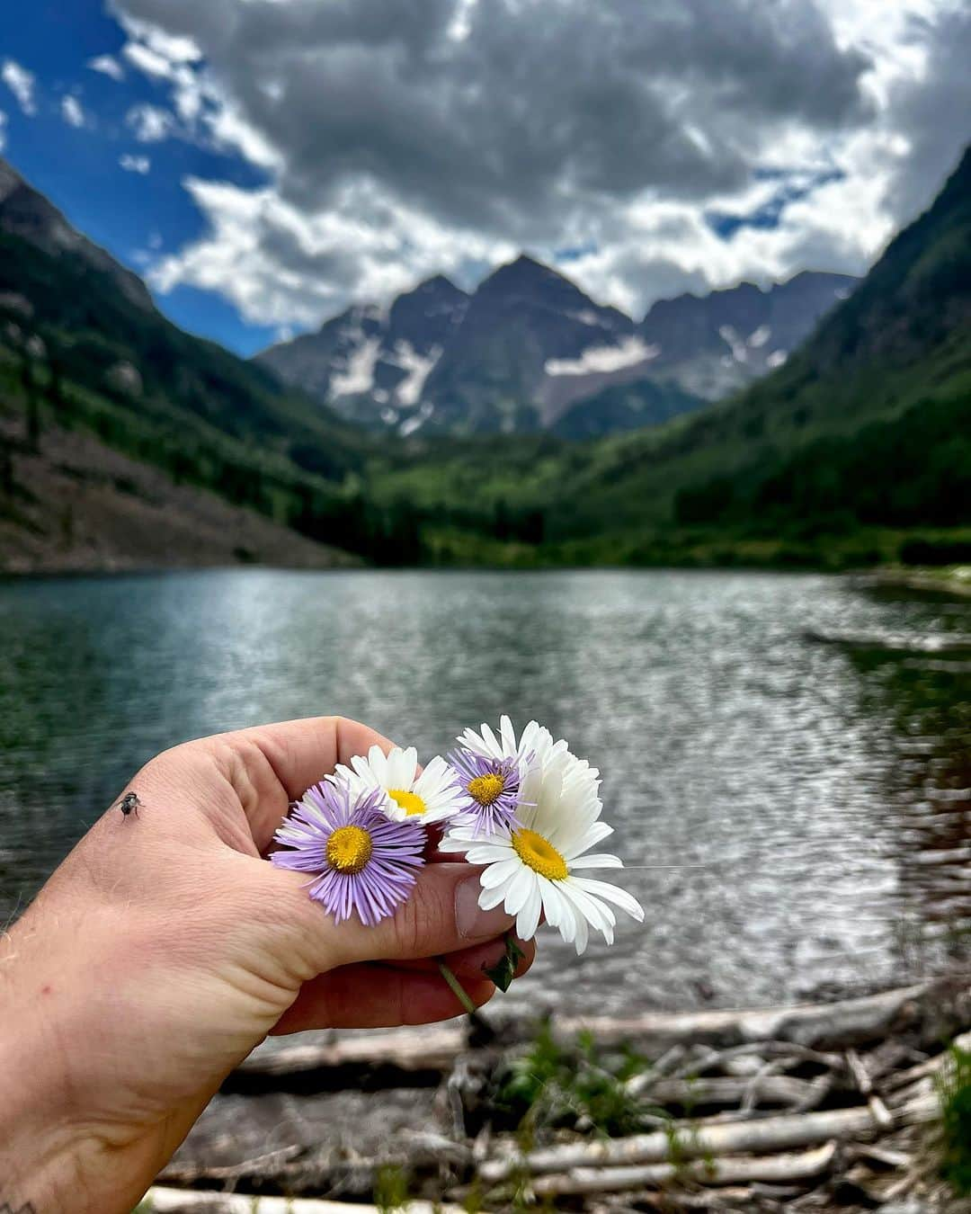 Nick Fouquetさんのインスタグラム写真 - (Nick FouquetInstagram)「Fat City, Aspen🌳  where the bluebirds sing and there’s a whiskey spring」8月7日 0時02分 - nickfouquet