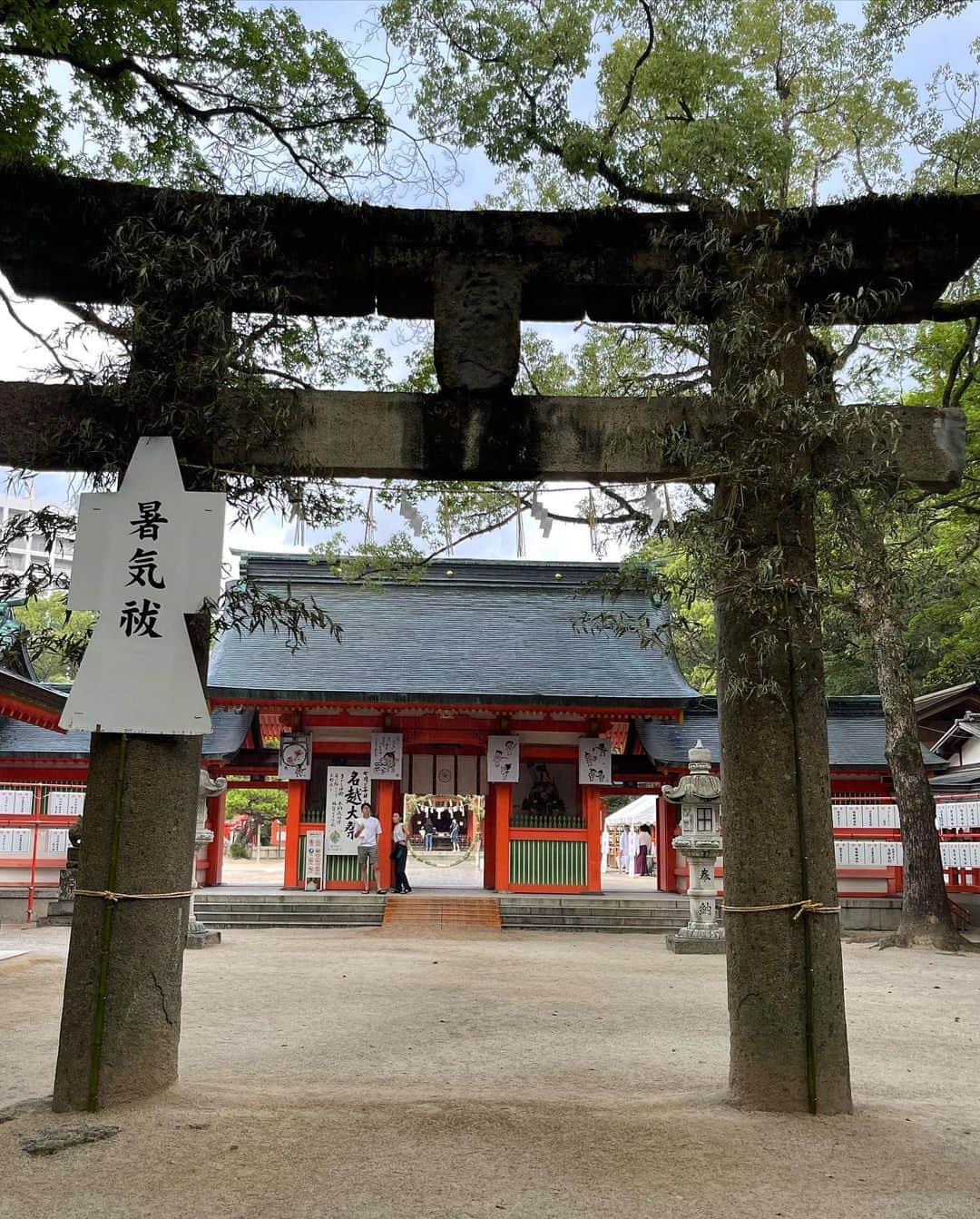 中島浩二さんのインスタグラム写真 - (中島浩二Instagram)「住吉神社に行っただすーー😊  そしたら偶然、名越大祭が行われてて😊  名越、夏越（なごし）とも言ったりするそうなんですが、暑い夏を健やかに過ごす大祭。  そして、風鈴の音が涼やかで、トンボも飛んでて、、、  住吉で中華食べようって事で行ったら、早かったんで、手を合わせようと寄ったら、こういう大祭に出会って、そして、神職の方から説明を受けて、本当に良い時間でした😊  皆さん、住吉神社って歴史も本当に凄いんだす😊  是非、参拝に上がって下さい😊  #福岡住吉神社　#博多住吉神社　#住吉神社 #住吉神社名越大祭」8月6日 16時22分 - koji_nakajiii