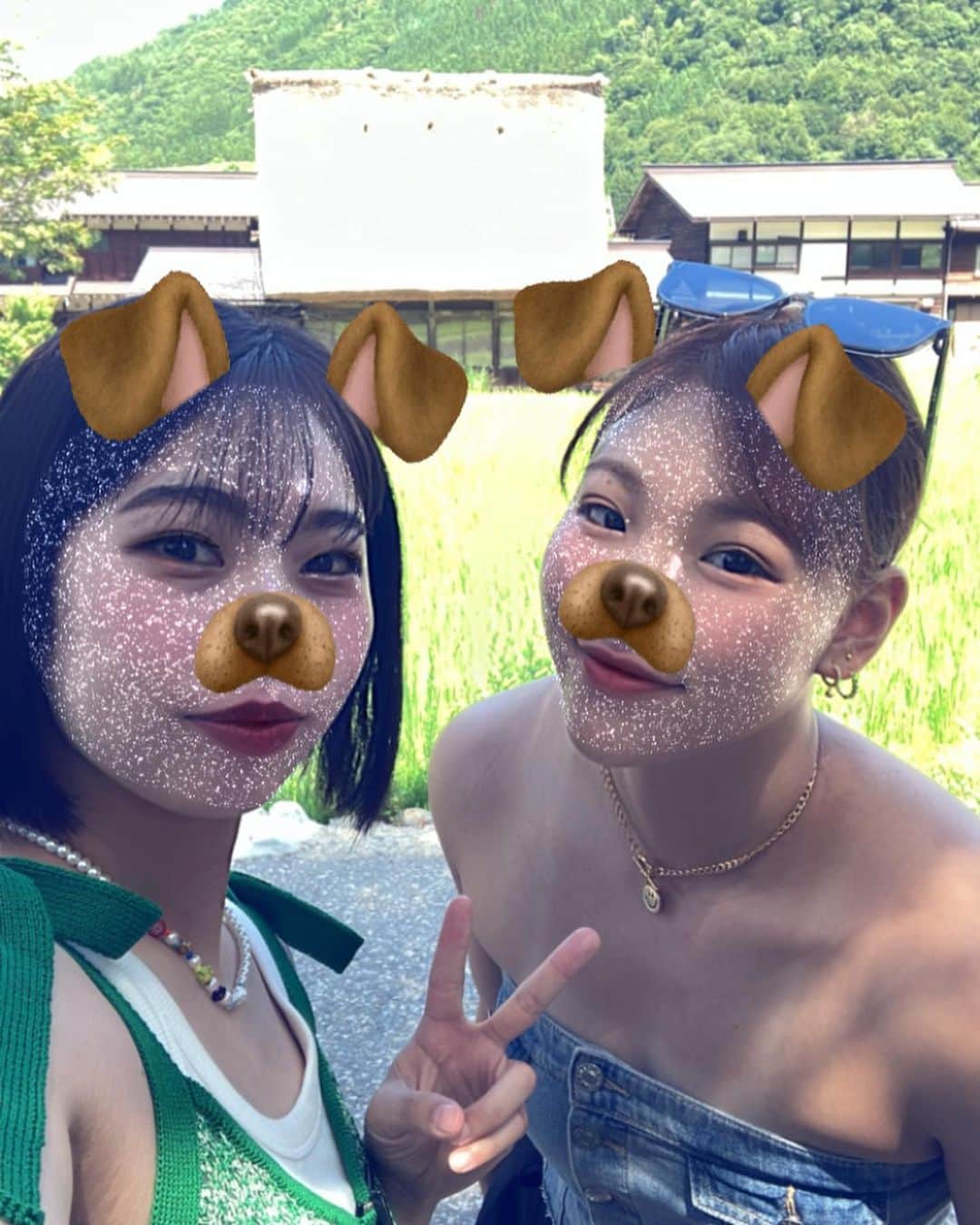 のインスタグラム：「犬しか勝たん！！！！🐶」