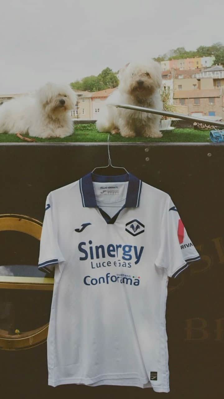 エラス・ヴェローナFCのインスタグラム：「TI RACCONTO ⤵️  La terza maglia 23-24 del @hellasveronafc   💛💙💛💙💛💙  #hellasverona #verona #jomasport #joma #shirtalert #ijc #footballshirts #soccerjersey #camisetadefutbol #trikotsammlung #magliadacalcio #maillotdefoot #footballkits #footballkit #footballshirt #footballjersey #soccerjersey」