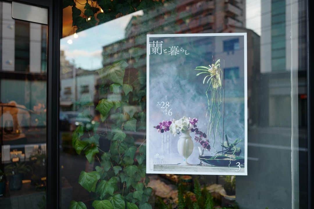 行方 久子 Hisako Namekataのインスタグラム：「. 次にご紹介いただいたのは、 オーナー渥美 由香里さんのセンスが光るお花屋さんBenepa.  ちょうど今日までの蘭とアンティーク雑貨の展示会だったんだけれど、本当にステキだったー！」