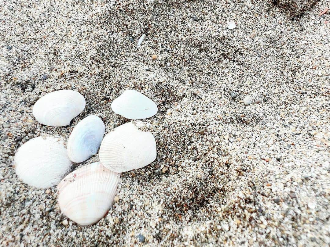 大岩根綾奈のインスタグラム：「11月舞台の撮影で横浜の海に行ってきました🏖️  地元の宮崎県から東京に出てきて初めて関東の海に来たかもしれない。  地元の海とはまた違った良さがあって沢山自然に癒されました🐚  猫ちゃんが日向ぼっこしてて可愛かった🐈🧡  みんな夏満喫してますか🍉？  #海  #海が好き  #海好きな人と繋がりたい  #自然  #癒し  #癒し猫  #猫  #猫写真  #元気  #元気チャージ #海の公園」