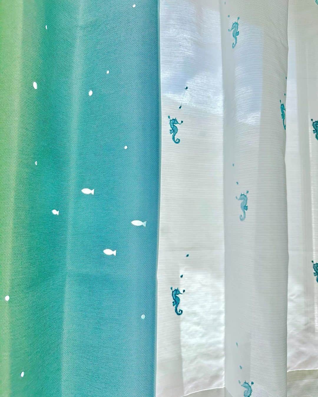 水村リアのインスタグラム：「🐠🐟  カーテン替えました🩵 レースのカーテンを破ってから早1年半、 ボロボロのカーテンで過ごしていたことに とても反省しております…。  𓏸。꙳⋆⸜⸜˙ 𓏸꙳⋆⸜⸜˙ 𓏸꙳⋆⸜⸜˙ 𓏸꙳⋆⸜⸜˙ 𓏸꙳⋆⸜⸜˙ 𓏸꙳⋆⸜⸜˙ 𓏸꙳⋆⸜⸜˙ #カーテン #びっくりカーテン」