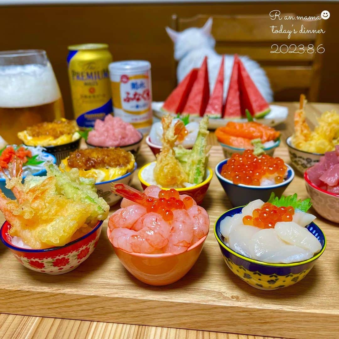 らんままのインスタグラム：「2023.8.6  今日のお夕飯⁣ ⁣ ⁣ ミニ丼ぶり大集合！⁣ ビンチョウマグロ丼、サーモン丼、ホタテ丼、甘海老丼、イカ丼、カニ丼、ネギトロ丼、イクラ丼、納豆オクラ丼、カツ丼、しらす明太子丼、海老天丼⁣ ⁣ ⁣ ⁣ こんばんは　日曜日ですね⁣ 娘のリクエストで久しぶりにミニ天丼にしました⁣ ネタは手巻き寿司用にパックされたものを使ってます⁣  ⁣ ⁣ ⁣ ⁣ 今日の動画は掃除機から逃げて階段で寝ている くぅさん です⁣  ⁣ 　⁣ ⁣ ⁣  #晩酌#晩御飯#献立#ばんごはん#おうち居酒屋#働く主婦の食卓#くぅさんを探せ#丸テーブル⁣ ⁣ ⁣ ⁣ ⁣」