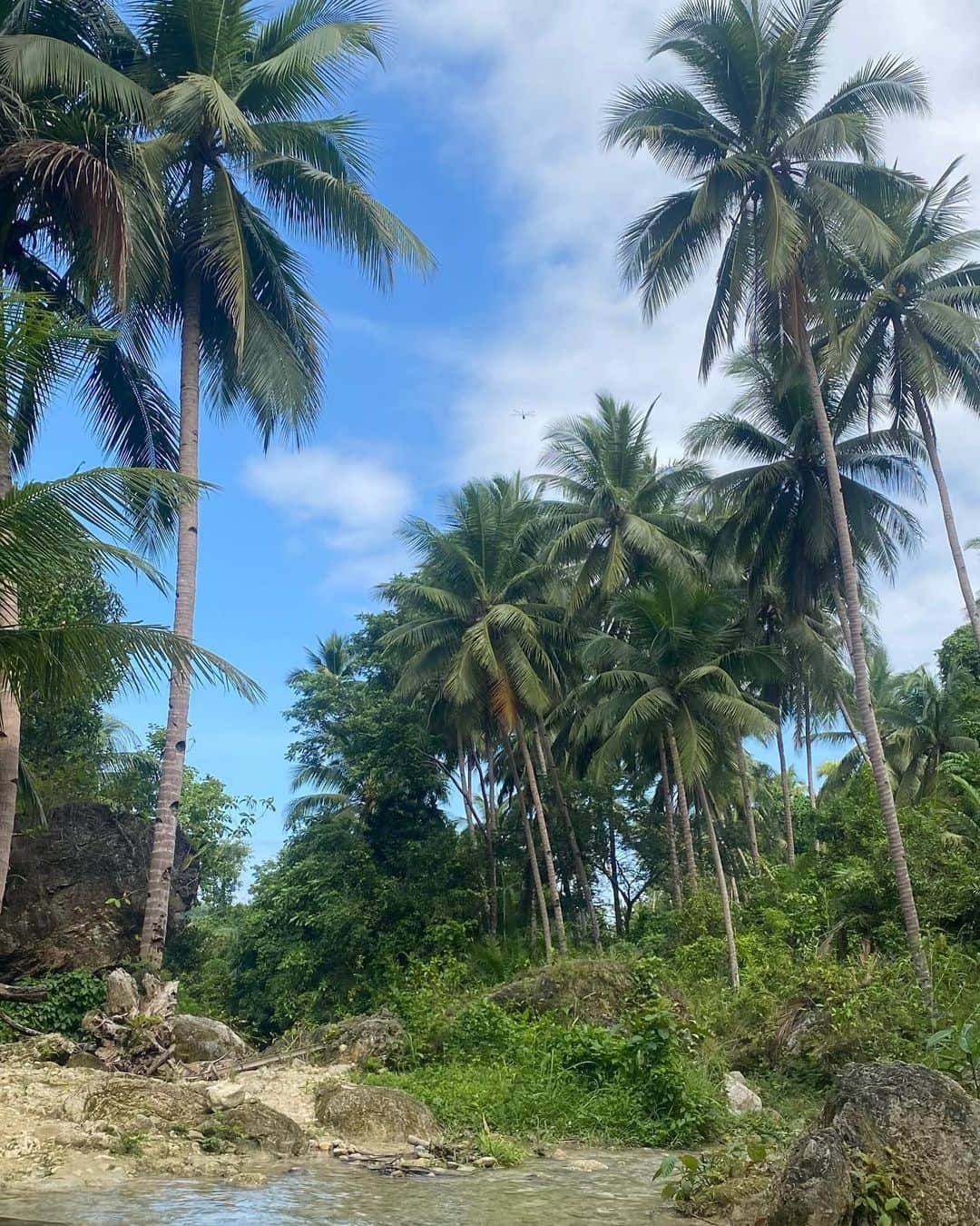 高岡志帆さんのインスタグラム写真 - (高岡志帆Instagram)「セブ島でキャニオニング🏝️ 6mの崖から飛び降りたり、滝を下ったり、、，🌊 . . #phillipisland #philippines #activity #canyoning #カワサン滝 #phillipisland #cebu #cebutravel #セブ島 #セブ島旅行 #大学生#マリンスポーツ #大学生の日常」8月6日 20時32分 - shiho_t05