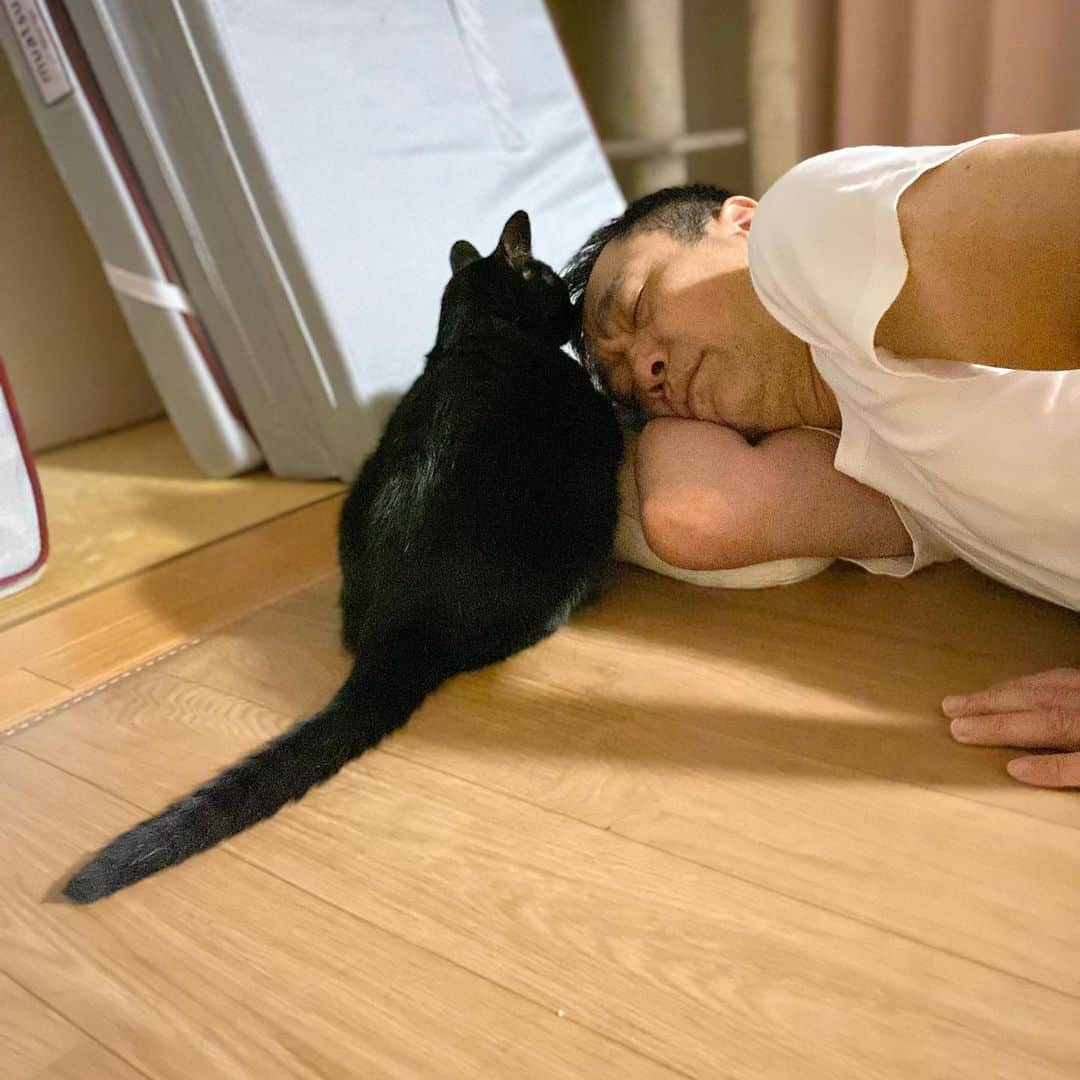 nemuru_catのインスタグラム：「#ベム#眠る夫  こっそり添い寝するベムつん💤 ジャラートピケのクマさんクレープ🐻 後頭部からいただきました * #ねこ部#cat#neko#猫#catsofinstagram#ねこのいるくらし#黒猫」