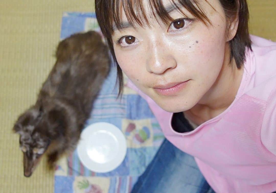 のインスタグラム：「シニア犬ココさん17歳の誕生日🎂YouTubeの動画で出せて幸せ😭✨✨❤️  思い出📷たくさん撮った‼️いろんな表情を見せてくれるここさんが大好き💓見てくださるみなさん、お心を寄せて頂きありがとうございます。お陰でお年の割には元気？かな？🫠  #シニア犬 #老犬 #ミニチュアダックスフンド #チョコレートダップル #ダップル」