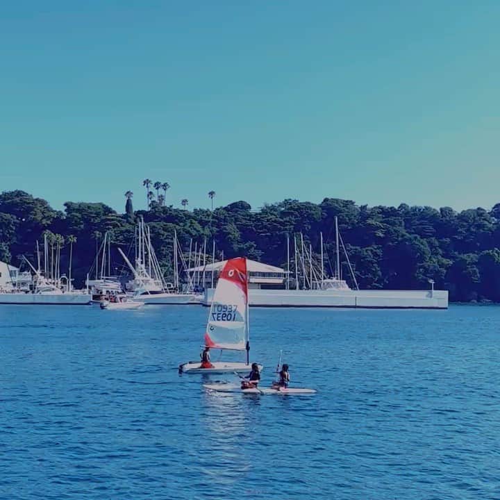 西山美希子のインスタグラム：「夏休み旅行が終わり、海の生活始まりました。お友達とのお泊まりも、偶然出逢ったお祭りもすべてが特別に楽しい夏の思い出となるでしょう✨」