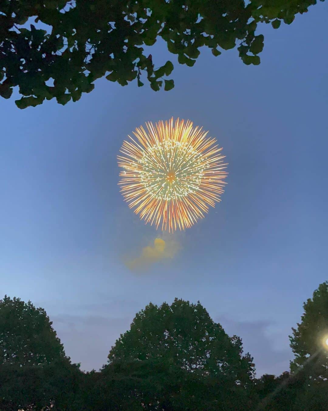 のインスタグラム：「花火大会🎇  最後の写真は虫除けを必死にふりかけてもらっているところ  . . . . . . . #花火大会 #立川花火大会 #立川 #国営昭和記念公園 #打ち上げ花火 #花火」
