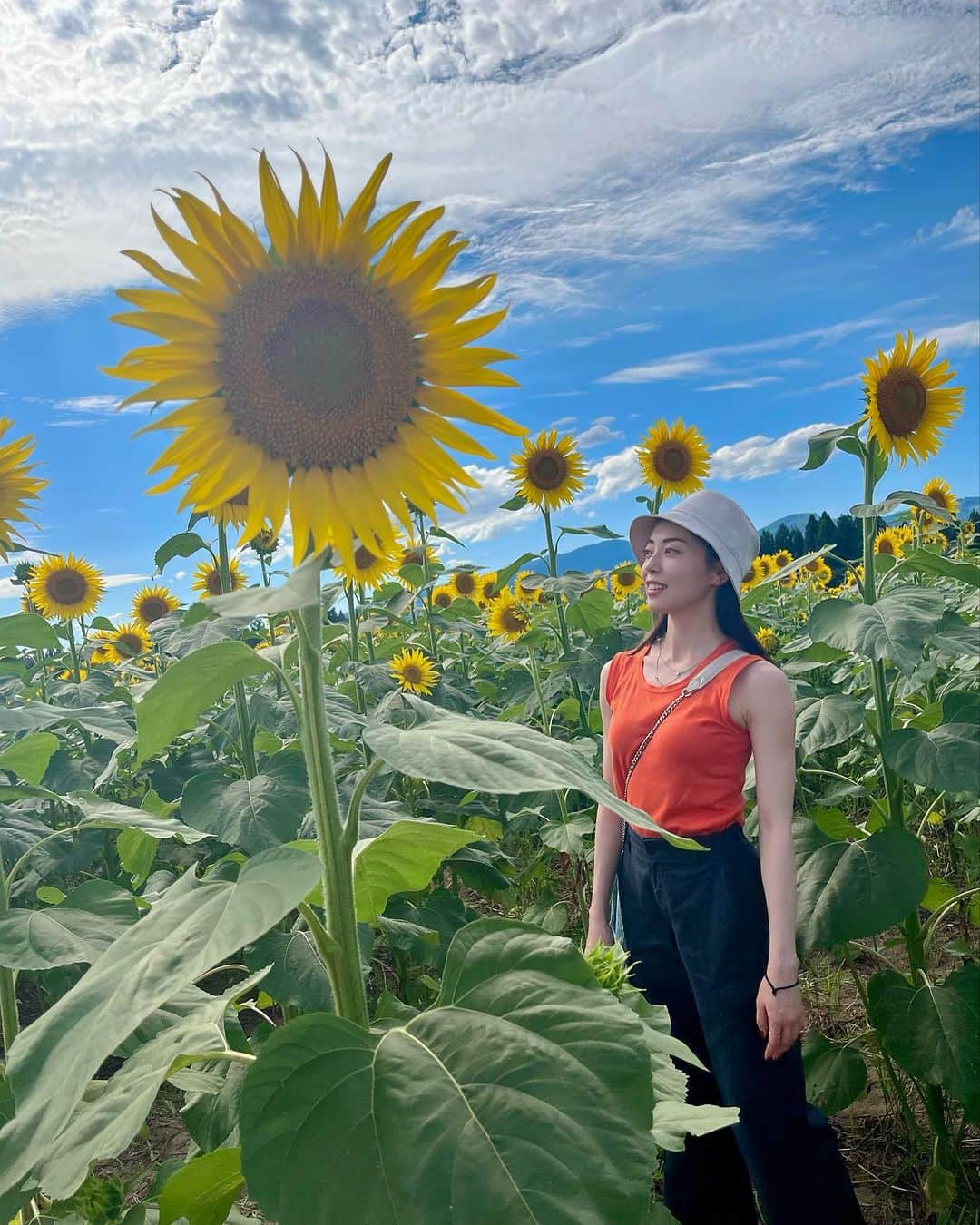 冨岡瑞希のインスタグラム：「. ひまわり🌻  #新潟 #津南ひまわり広場 #多分4年ぶりくらいに日焼けした」