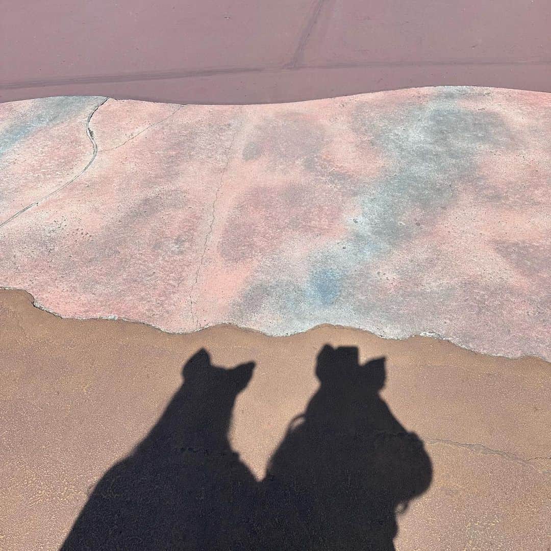 のインスタグラム