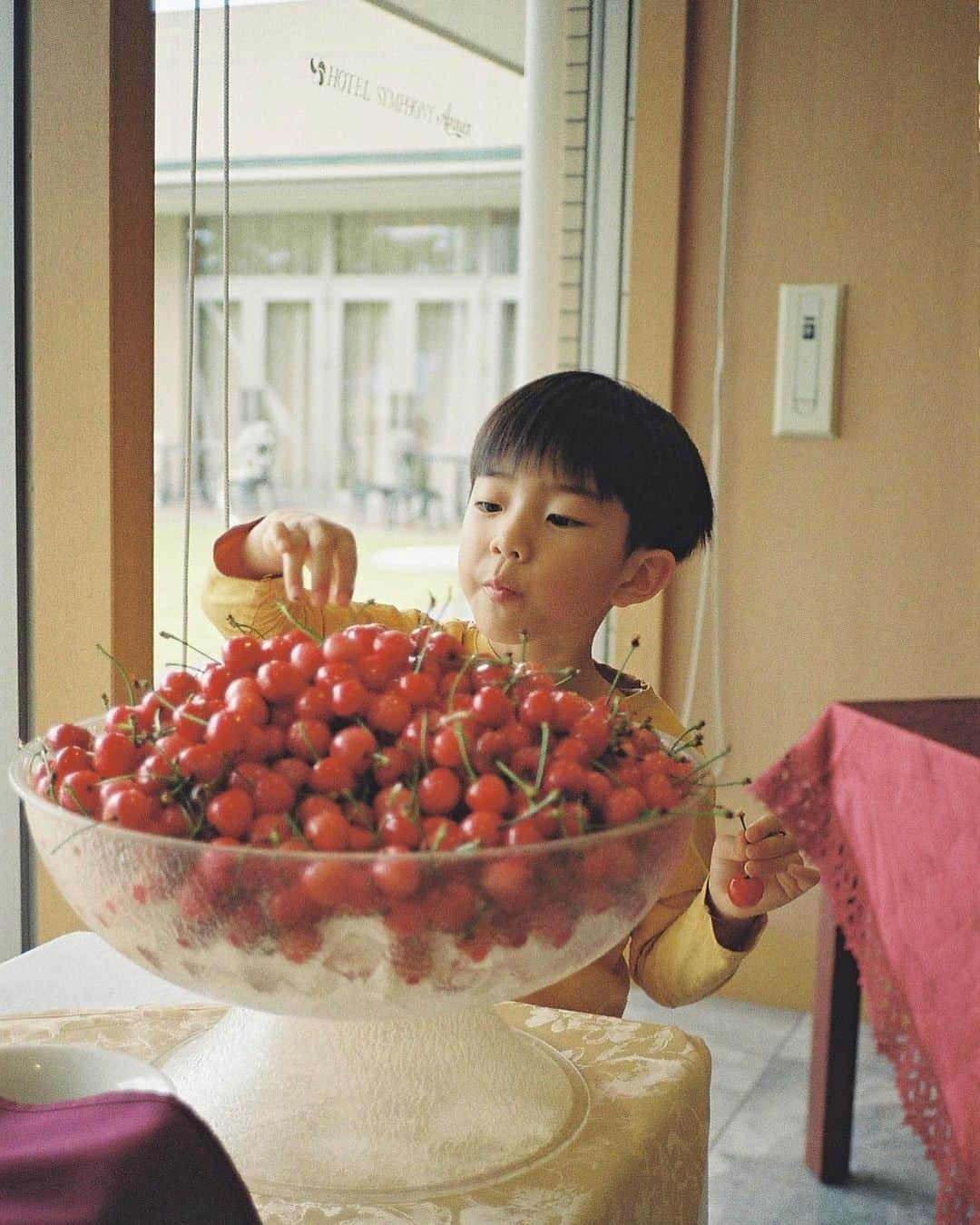 平大路 知子さんのインスタグラム写真 - (平大路 知子Instagram)「🍒 #contaxt2 #filmcamera #35mm」8月6日 23時06分 - tomo_checcori