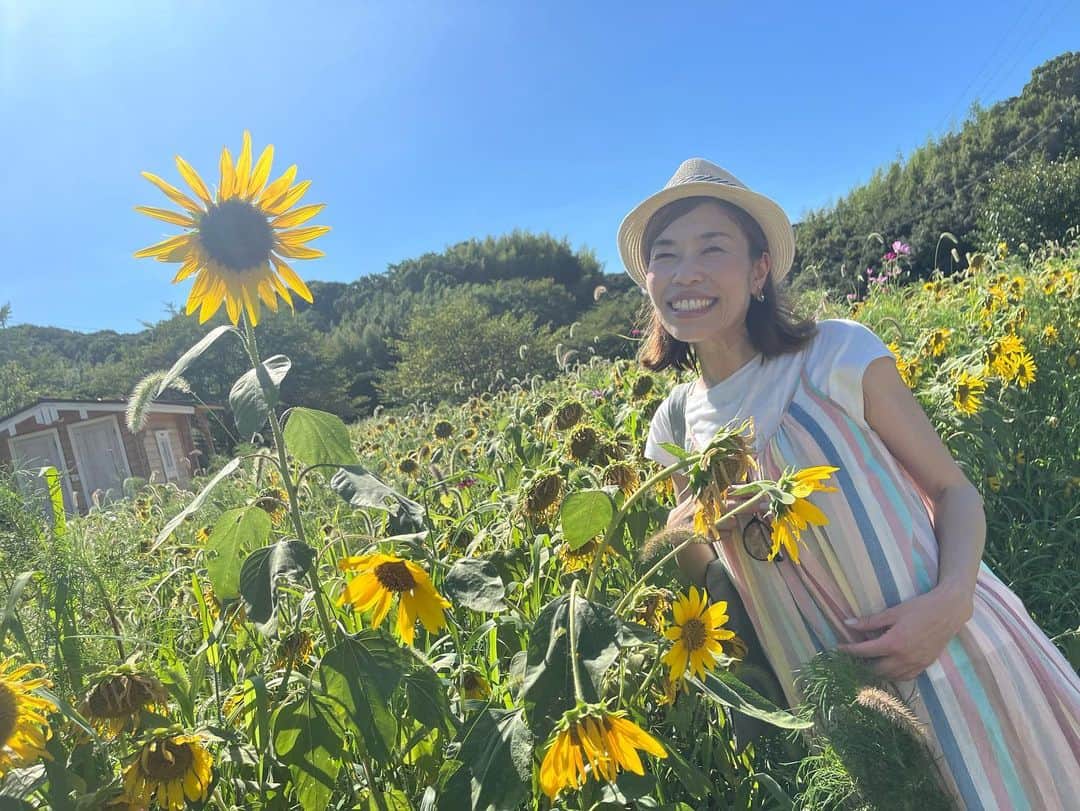 内田絢子さんのインスタグラム写真 - (内田絢子Instagram)「わーい、念願のキャンプ🏕️ めちゃくちゃ楽しかった！！  今年の七夕の短冊の願いに『この夏、キャンプに行けますように☆』と書いたら、その短冊を見た友人が『うっちーの七夕の願いを叶えてあげる☆』と、なんと、キャンプに連れて行ってくれました！（喜）  淡路島でバーベキューして、ひまわり畑を散歩して、夜は星空を眺めながら、夏の大三角形探し☆星がすごく綺麗で、ホロ酔いで夜空を眺めると、謎の三角形もいっぱい見えてきて、大はしゃぎ！！笑  朝は芝生の上でヨガをして、ホットサンド作って、コーヒーを淹れて、朝ごはん。  大自然の中で、太陽の動きを感じながら、のんびり過ごす時間、本当に贅沢だった。すごくリフレッシュできた。ありがとう♡  #キャンプ #淡路島キャンプ #mountlake #朝ヨガ #ホットサンド #夏の思い出」8月6日 23時13分 - uccijun