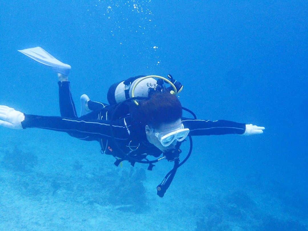 シュネルのインスタグラム：「沖縄の想い出パート2  #沖縄 #ダイビング」