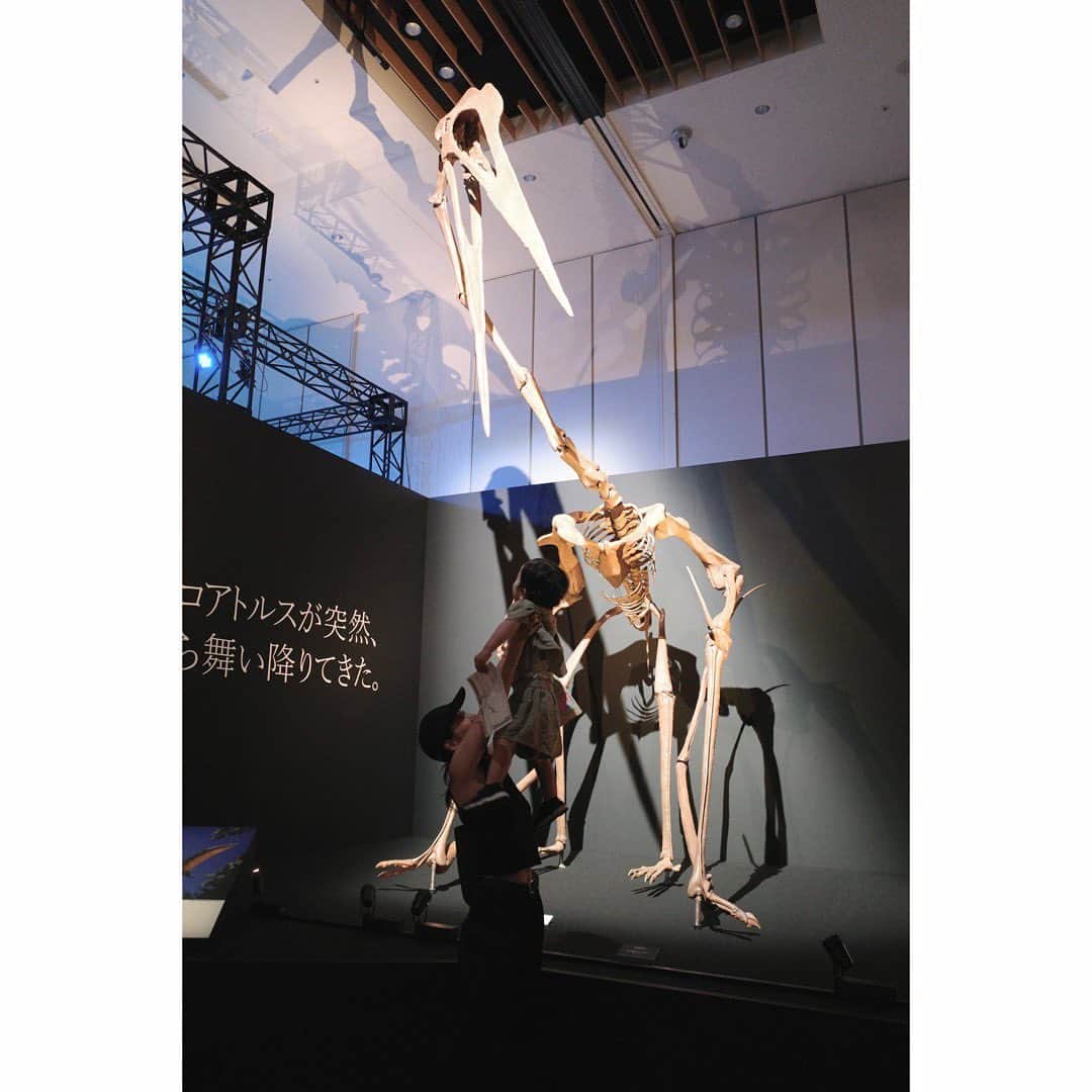 吉田明世さんのインスタグラム写真 - (吉田明世Instagram)「ONE MORNINGで紹介した 東京ミッドタウンで開催されている 恐竜科学博へ！🦕 @dinoscience_jpn   これまで恐竜博というのにあまり行ったことがなかったのですが、 躍動感のある骨格標本は圧巻で、 ライティングや音響がとてもかっこよかったです！  そして、会場に散りばめられた小説の一節のような言葉もとても素敵で世界観に引き込まれました。  母親とはぐれてしまった トリケラトプスの子どもと一緒に森を歩くような作りになっていて、 子どもたちと一緒に冒険してるような気持ちに☺️  大迫力のスクリーンに映し出される、 母が子を守るために闘う映像には息子を抱えながら思わずウルッと来てしまいました🥹  ワニやライオンが怖くて苦手な息子は泣いてしまうかな、と思っていたけど 積極的に見て回っていたのでよかった😊  娘はワークショップで化石発掘に挑戦。 なかなか難しく、いつの間にか私の方が必死に発掘してしまい 『ママ、私がやりたいの！』と言われ、でしゃばり母ちゃん反省です🤚笑  なんだか夏休み！って感じで楽しかったなぁー🌻 いつも頑張ってくれている子どもたち。 おやすみの日はたくさん楽しませてあげたいです。  #恐竜科学博 #東京ミッドタウン #ディノサイエンス恐竜科学博2023 #恐竜 #化石発掘 #トレジャーハンター」8月7日 9時33分 - akiyo0414