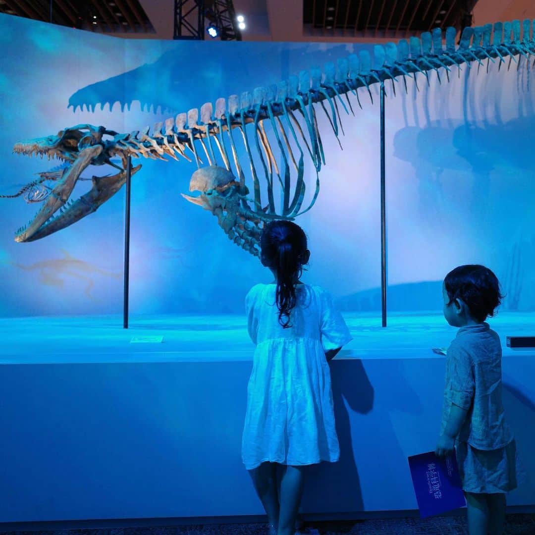 吉田明世さんのインスタグラム写真 - (吉田明世Instagram)「ONE MORNINGで紹介した 東京ミッドタウンで開催されている 恐竜科学博へ！🦕 @dinoscience_jpn   これまで恐竜博というのにあまり行ったことがなかったのですが、 躍動感のある骨格標本は圧巻で、 ライティングや音響がとてもかっこよかったです！  そして、会場に散りばめられた小説の一節のような言葉もとても素敵で世界観に引き込まれました。  母親とはぐれてしまった トリケラトプスの子どもと一緒に森を歩くような作りになっていて、 子どもたちと一緒に冒険してるような気持ちに☺️  大迫力のスクリーンに映し出される、 母が子を守るために闘う映像には息子を抱えながら思わずウルッと来てしまいました🥹  ワニやライオンが怖くて苦手な息子は泣いてしまうかな、と思っていたけど 積極的に見て回っていたのでよかった😊  娘はワークショップで化石発掘に挑戦。 なかなか難しく、いつの間にか私の方が必死に発掘してしまい 『ママ、私がやりたいの！』と言われ、でしゃばり母ちゃん反省です🤚笑  なんだか夏休み！って感じで楽しかったなぁー🌻 いつも頑張ってくれている子どもたち。 おやすみの日はたくさん楽しませてあげたいです。  #恐竜科学博 #東京ミッドタウン #ディノサイエンス恐竜科学博2023 #恐竜 #化石発掘 #トレジャーハンター」8月7日 9時33分 - akiyo0414