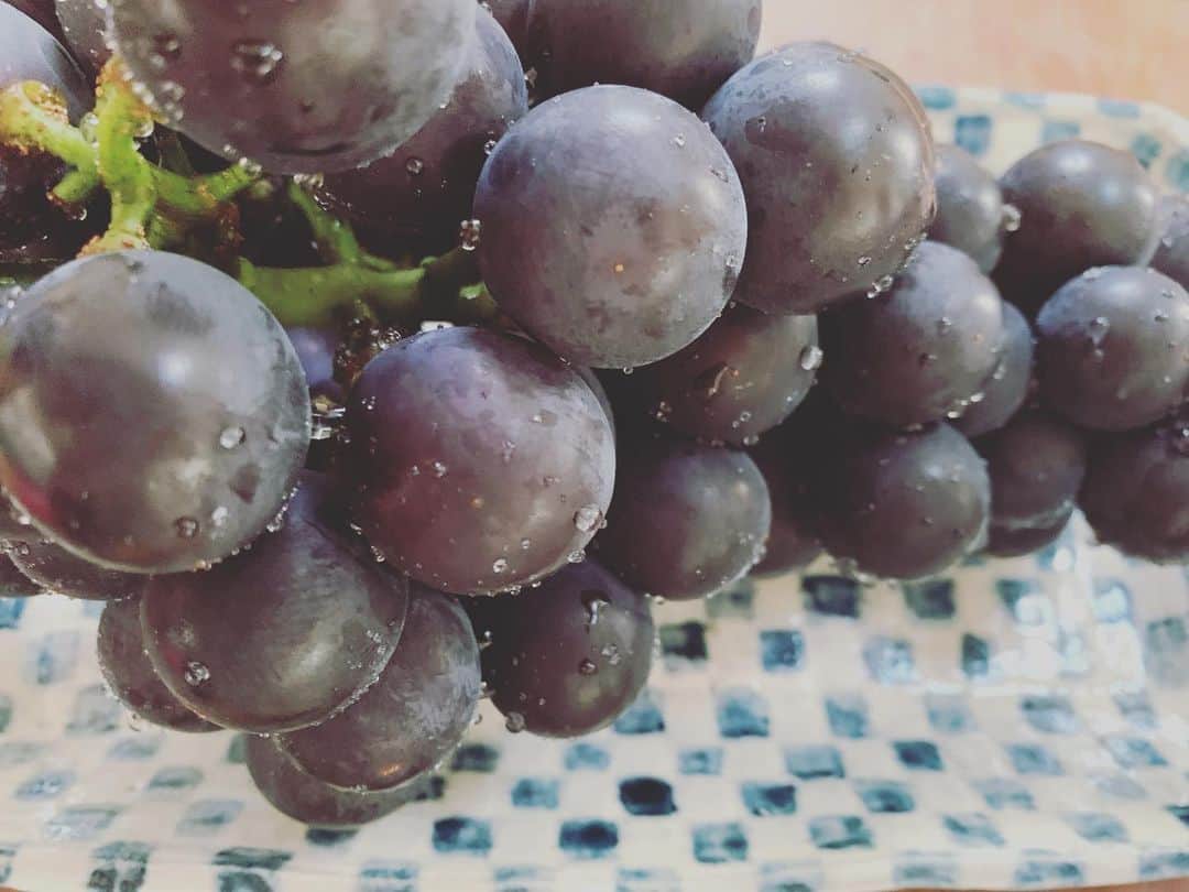 河口恭吾さんのインスタグラム写真 - (河口恭吾Instagram)「先日、世田谷産のブドウを頂きました。  写真で伝わらないかも知れませんが、30センチくらいある大きなブドウです。  世田谷でこんな立派なブドウがとれるなんて驚きです。  果肉もしっかり、上品な甘さのブドウでした。  ご馳走様でした！  #世田谷ブドウ　#砧公園  #世田谷ぶどう園」8月7日 9時54分 - kawaguchikyogo