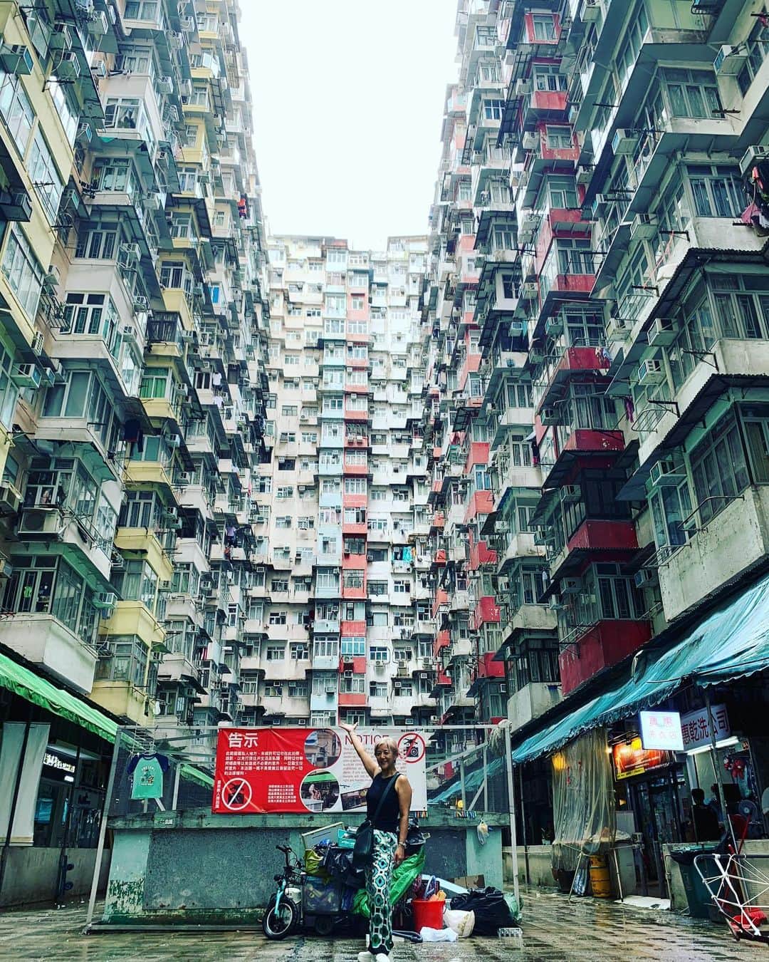 鈴木桃子さんのインスタグラム写真 - (鈴木桃子Instagram)「週末は兄夫婦を訪ねて久しぶりに香港に遊びに行って来ました🇭🇰 個人的には香港に行くのは4回目。 行く度にどんどん新しくオシャレになってて、30年前のあのわちゃわちゃしたヤバイ感じwが薄れて行くのはちょっと寂しいですが、それでも街全体のギラギラした熱気と活気は相変わらずで、居るだけでなんだかパワーを吸収できた感じ😊 いっぱい美味しいもの食べて、トラムやスターフェリーや地下鉄であちこち行って、弾丸旅行でしたが超満喫できました😉💕🎵 I am so grateful❤️ 楽しかった〜！ 早くもまた行きたいですw Thank you Nozomu&Yumi-san!💖💖💖  ①②③④ずっと行ってみたかったモンスターマンション ⑤⑥⑦新しくできたM+美術館にて ⑧⑨⑩スターフェリー、トラム、  #hongkong #香港」8月7日 9時47分 - momokosuzuki