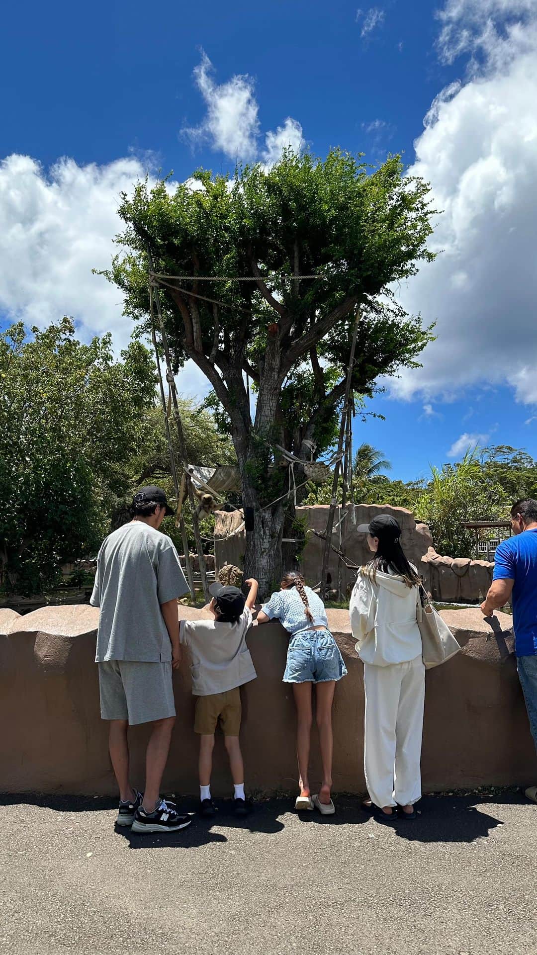 松本恵奈のインスタグラム：「zoo🐵🦁🐻🐨🐷」
