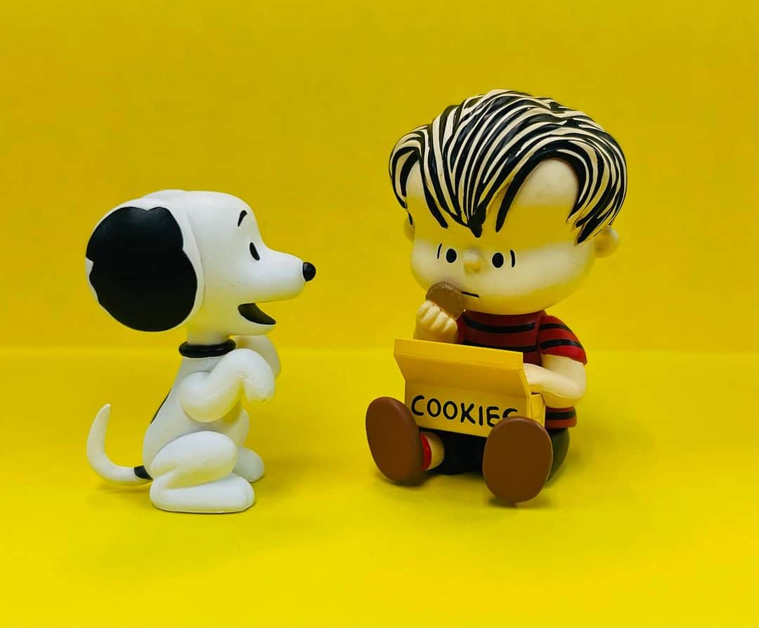 MEDICOM TOYさんのインスタグラム写真 - (MEDICOM TOYInstagram)「🍪🐾🐶😄✨  © 2023 Peanuts Worldwide LLC  #medicomtoy #メディコムトイ #UDF #peanuts #snoopy」8月7日 10時30分 - medicom_toy