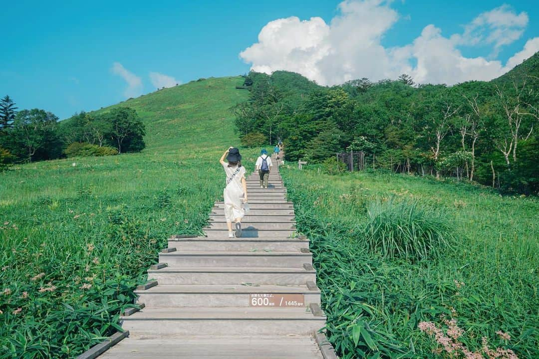 あすかのインスタグラム：「・ 日光＆鬼怒川旅☀️  まず１日目朝 急遽予定に追加した #霧降高原 #キスゲ平園地 #1445段 の階段  雲より高いところへ まるで天へのぼる階段。 景色が美しくて 雲海にも大興奮で 長い階段にヒーヒー言いながらも 楽しく頂上につきました🙌 が、ほんとのキツさは この日ではなく 翌日から５日間続いた筋肉痛😂  7枚目からは翌日行った #龍王峡  自然の中を歩きながら たくさん滝や橋、絶景が 見られる楽しいハイキング。 すごーく気持ちよくて楽しいけど すでにこのときから 筋肉痛が始まってたから ハードなお散歩でした🤭  #とちぎきぶん #とちぎの夏 #とち農フォトコン2023 ・」